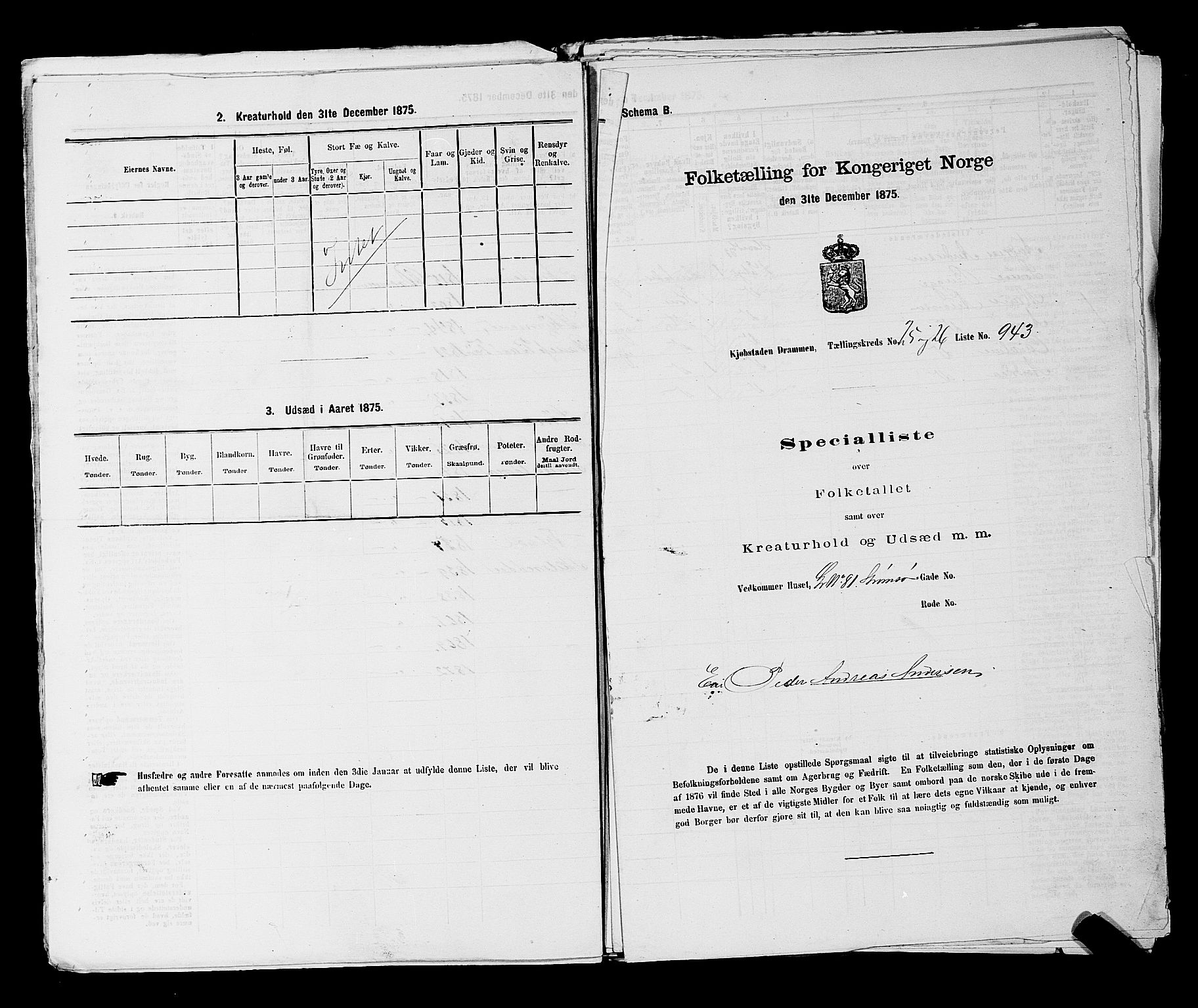 SAKO, 1875 census for 0602 Drammen, 1875, p. 3071