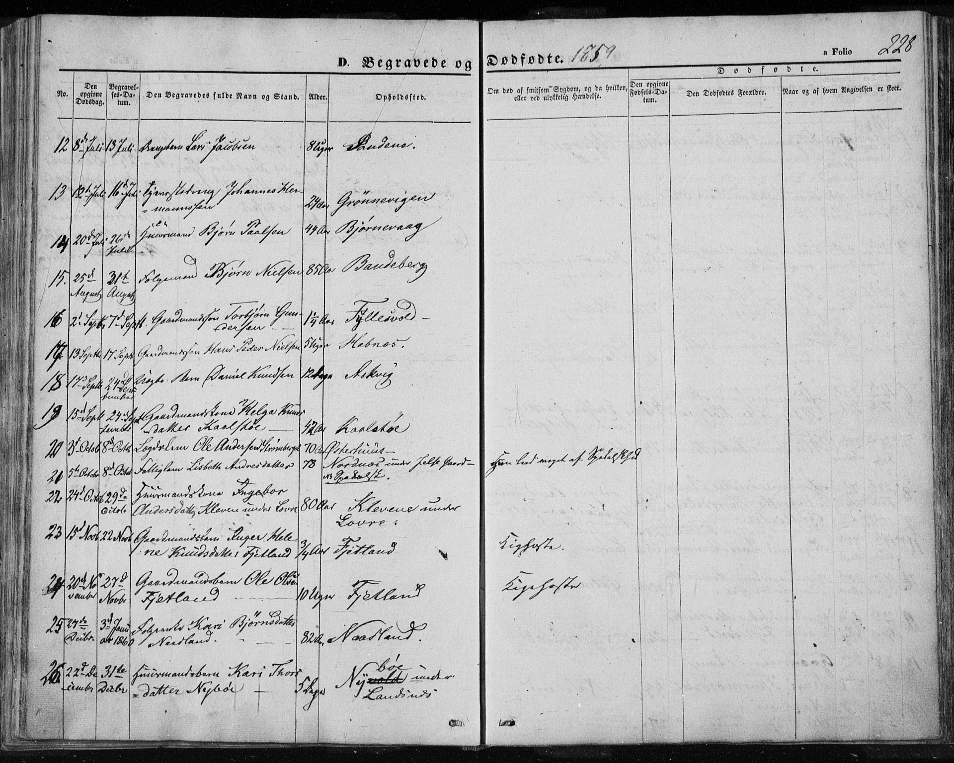 Jelsa sokneprestkontor, AV/SAST-A-101842/01/IV: Parish register (official) no. A 7, 1854-1866, p. 228