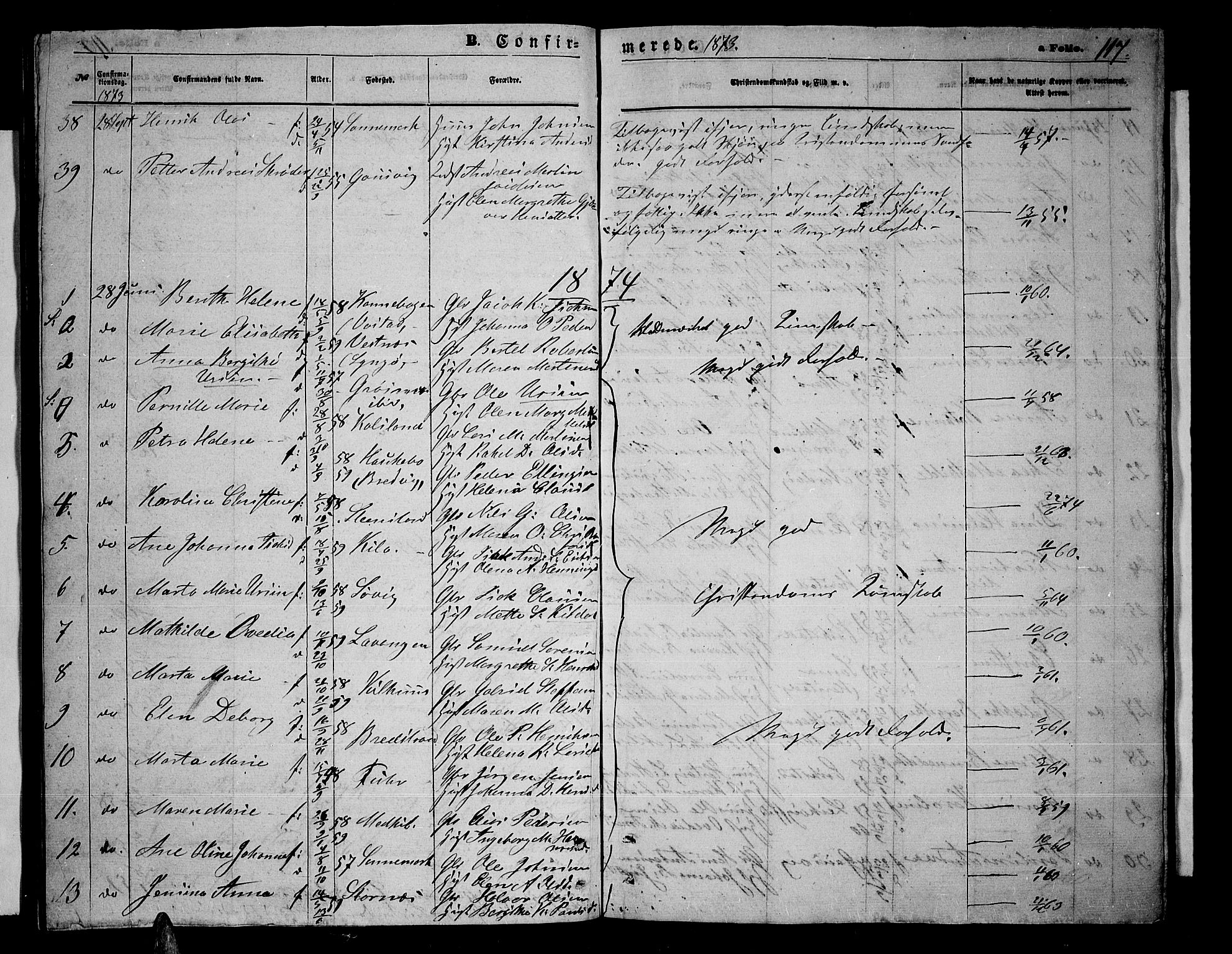Trondenes sokneprestkontor, SATØ/S-1319/H/Hb/L0009klokker: Parish register (copy) no. 9, 1870-1876, p. 117