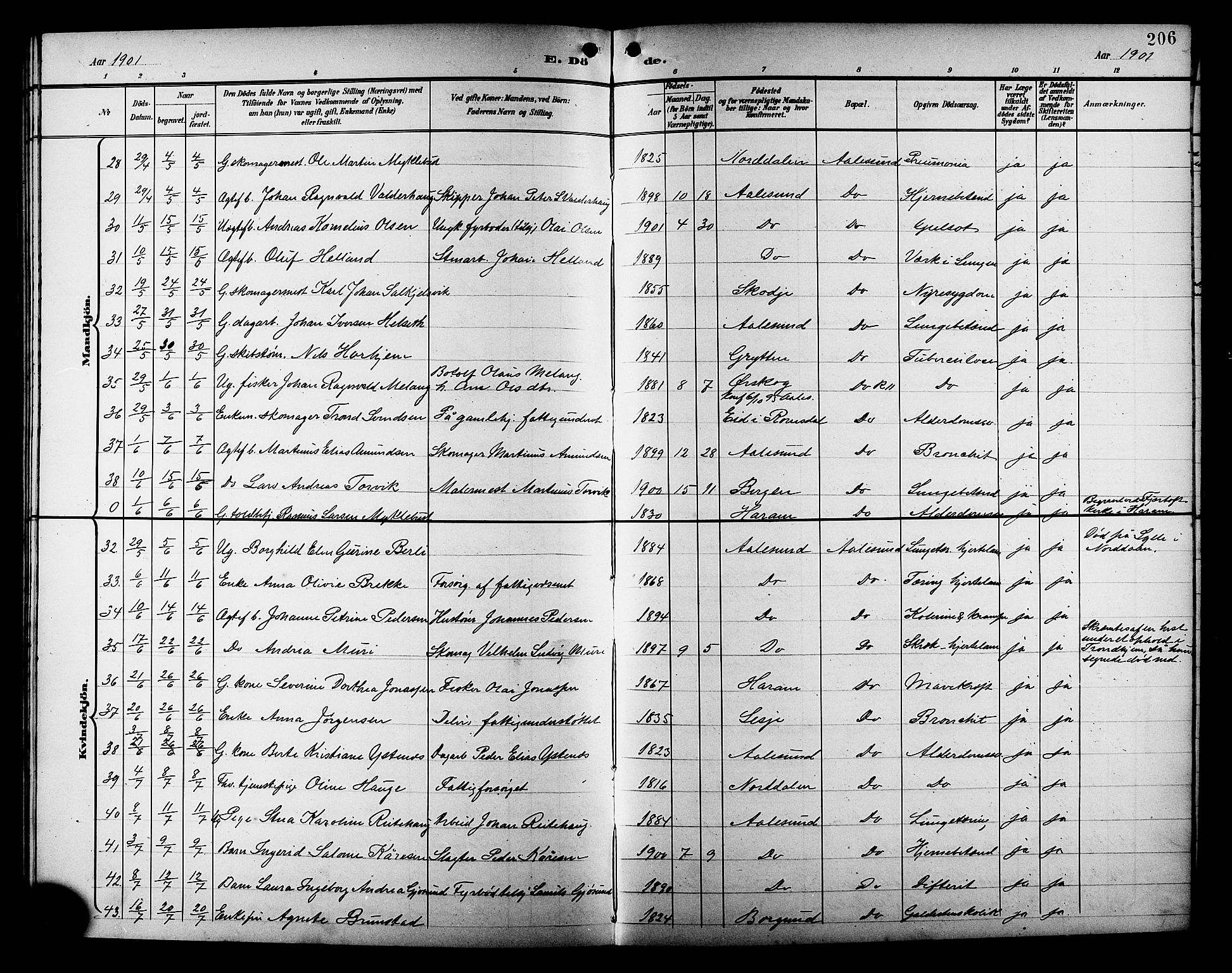 Ministerialprotokoller, klokkerbøker og fødselsregistre - Møre og Romsdal, AV/SAT-A-1454/529/L0469: Parish register (copy) no. 529C06, 1898-1906, p. 206