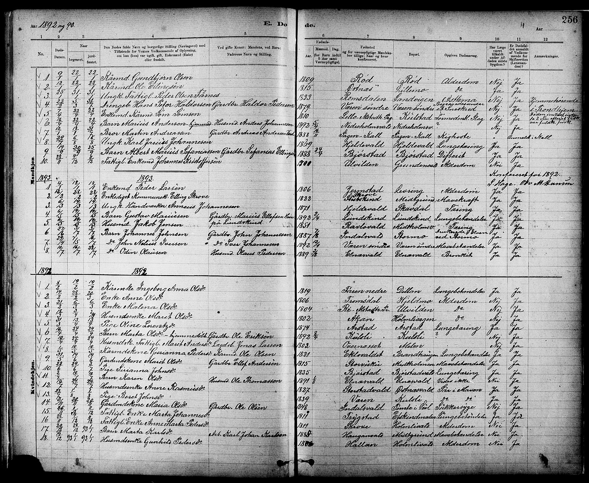 Ministerialprotokoller, klokkerbøker og fødselsregistre - Nord-Trøndelag, SAT/A-1458/724/L0267: Parish register (copy) no. 724C03, 1879-1898, p. 256