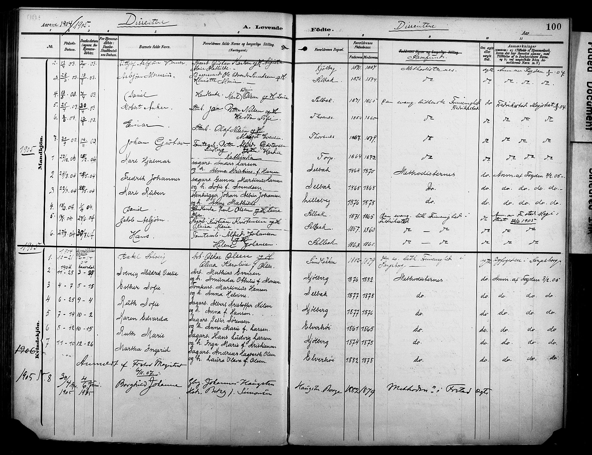 Borge prestekontor Kirkebøker, SAO/A-10903/F/Fa/L0009: Parish register (official) no. I 9, 1902-1911, p. 100