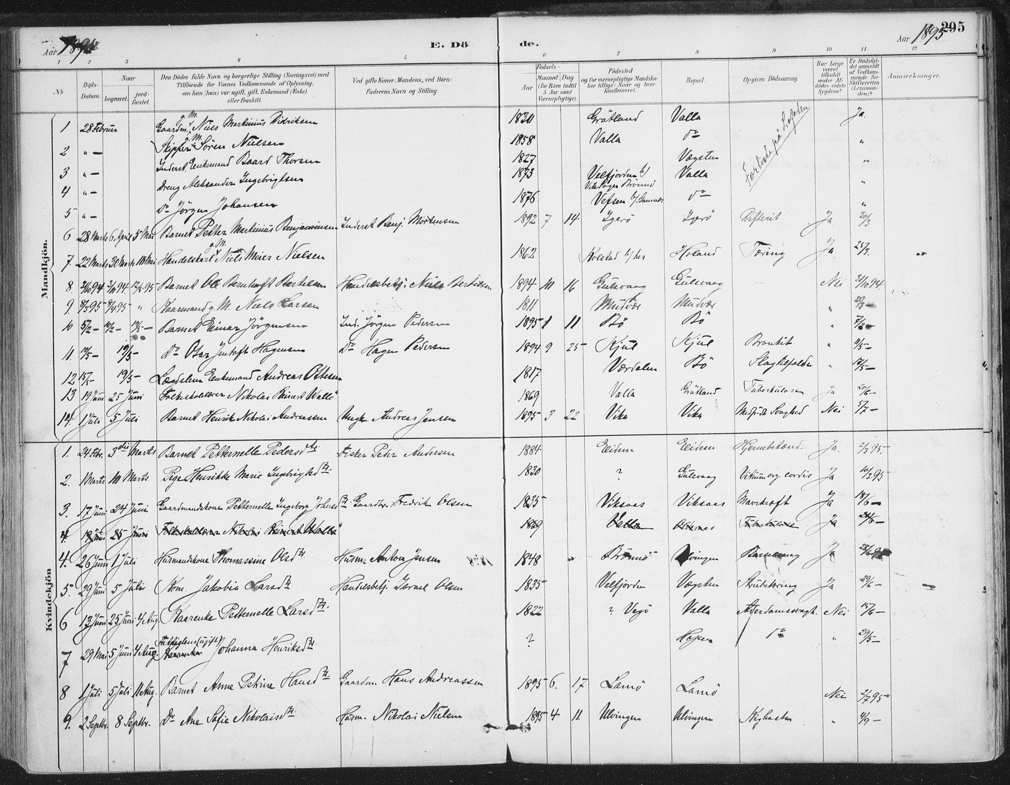 Ministerialprotokoller, klokkerbøker og fødselsregistre - Nordland, AV/SAT-A-1459/816/L0244: Parish register (official) no. 816A10, 1886-1903, p. 295