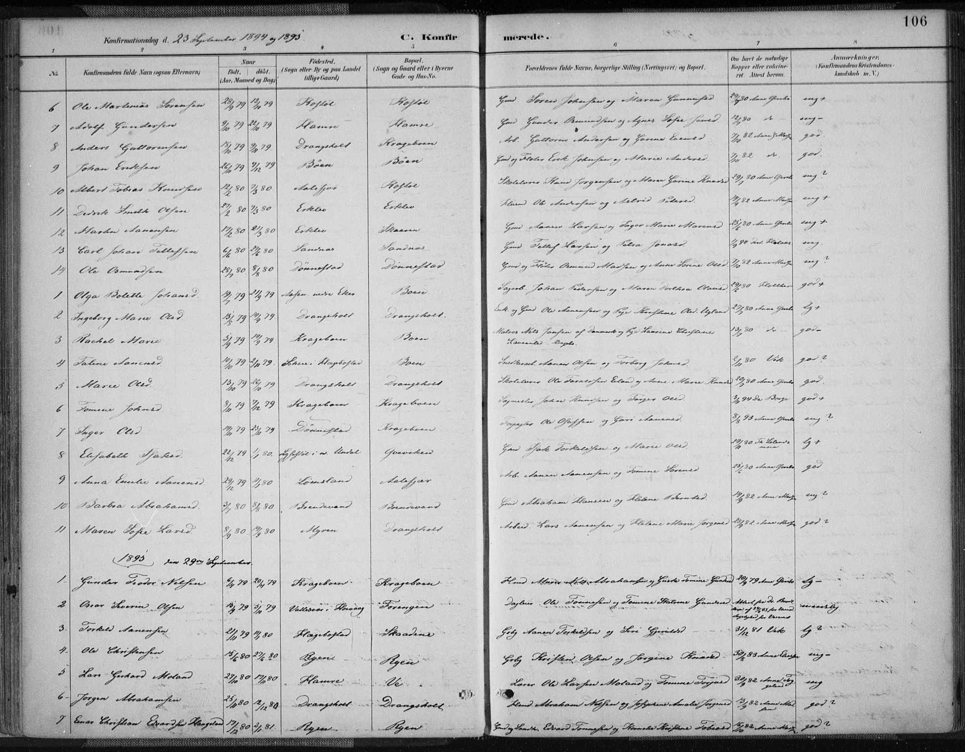 Tveit sokneprestkontor, SAK/1111-0043/F/Fa/L0007: Parish register (official) no. A 7, 1887-1908, p. 106