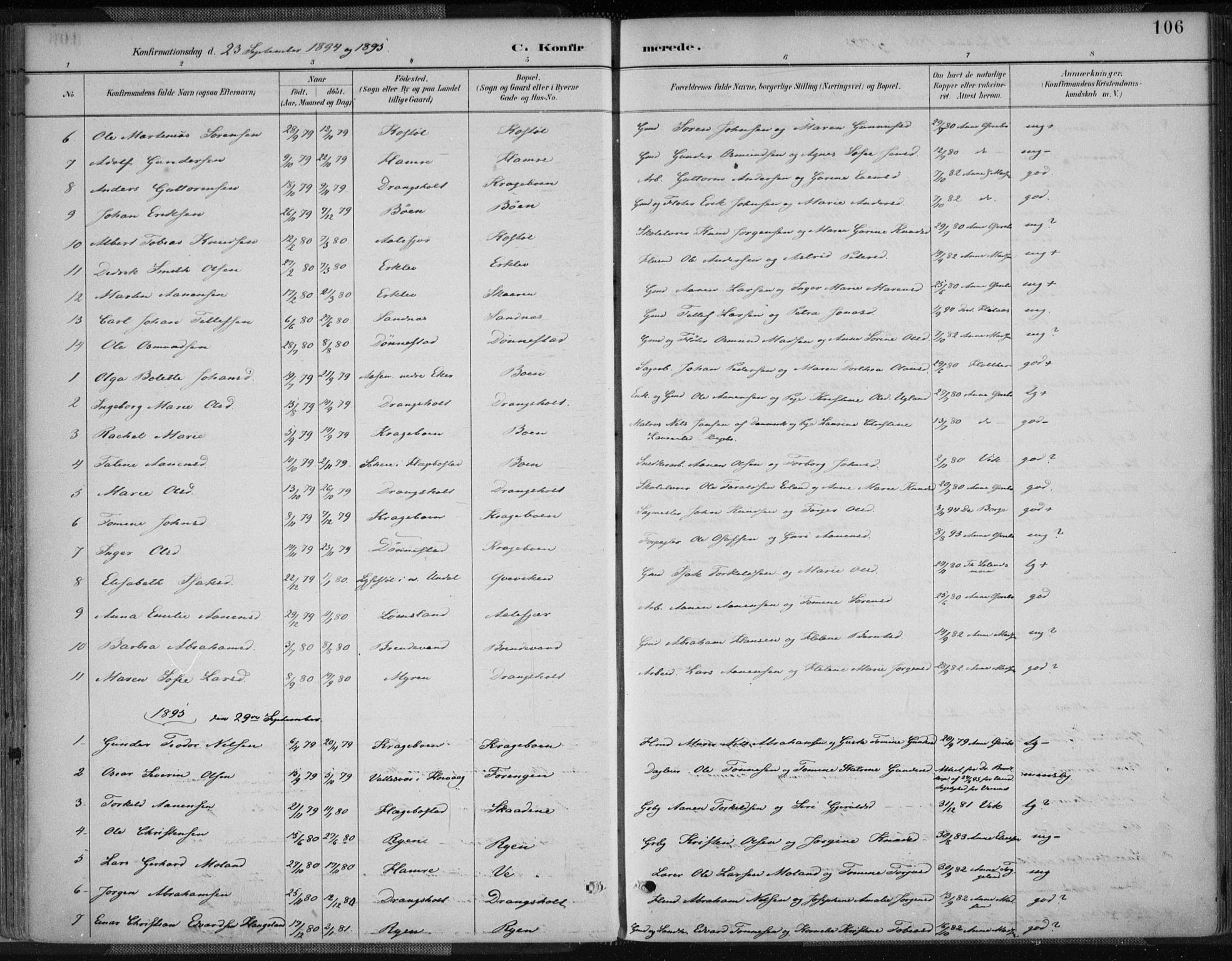 Tveit sokneprestkontor, AV/SAK-1111-0043/F/Fa/L0007: Parish register (official) no. A 7, 1887-1908, p. 106