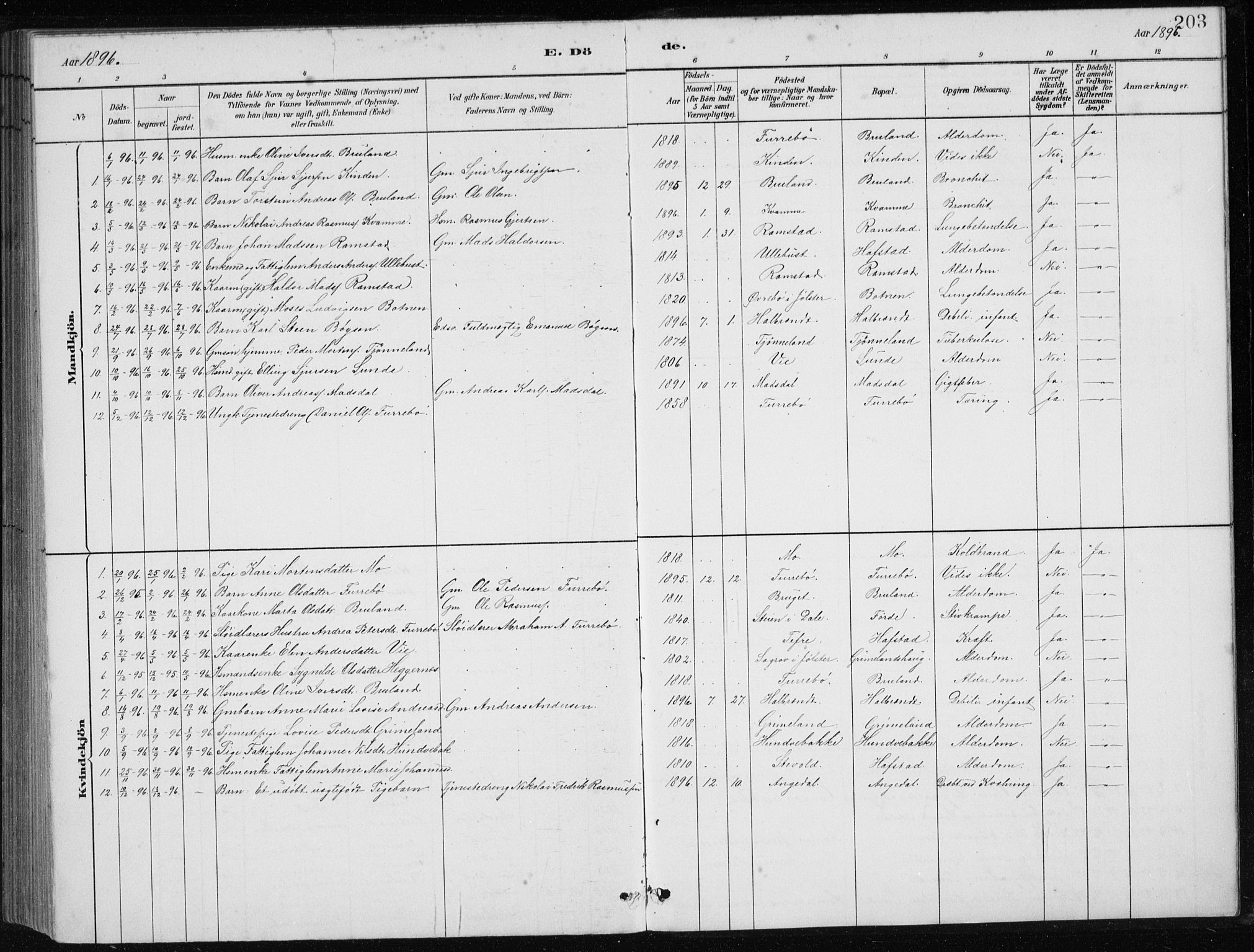 Førde sokneprestembete, SAB/A-79901/H/Hab/Haba/L0002: Parish register (copy) no. A 2, 1881-1898, p. 203