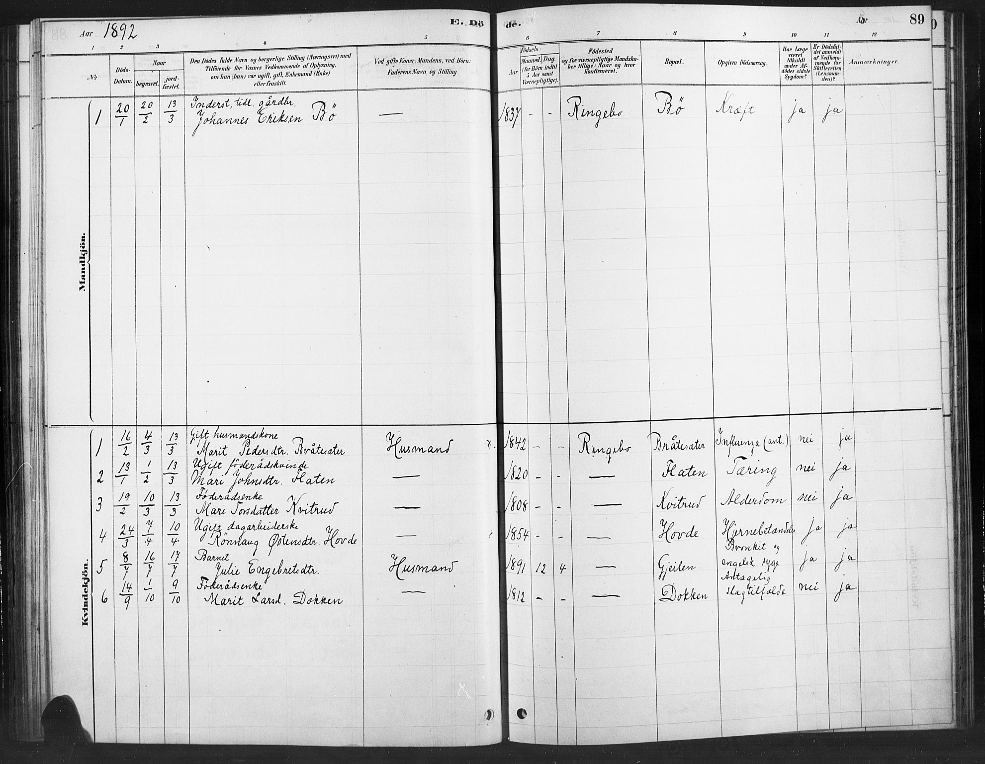 Ringebu prestekontor, AV/SAH-PREST-082/H/Ha/Haa/L0010: Parish register (official) no. 10, 1878-1898, p. 89