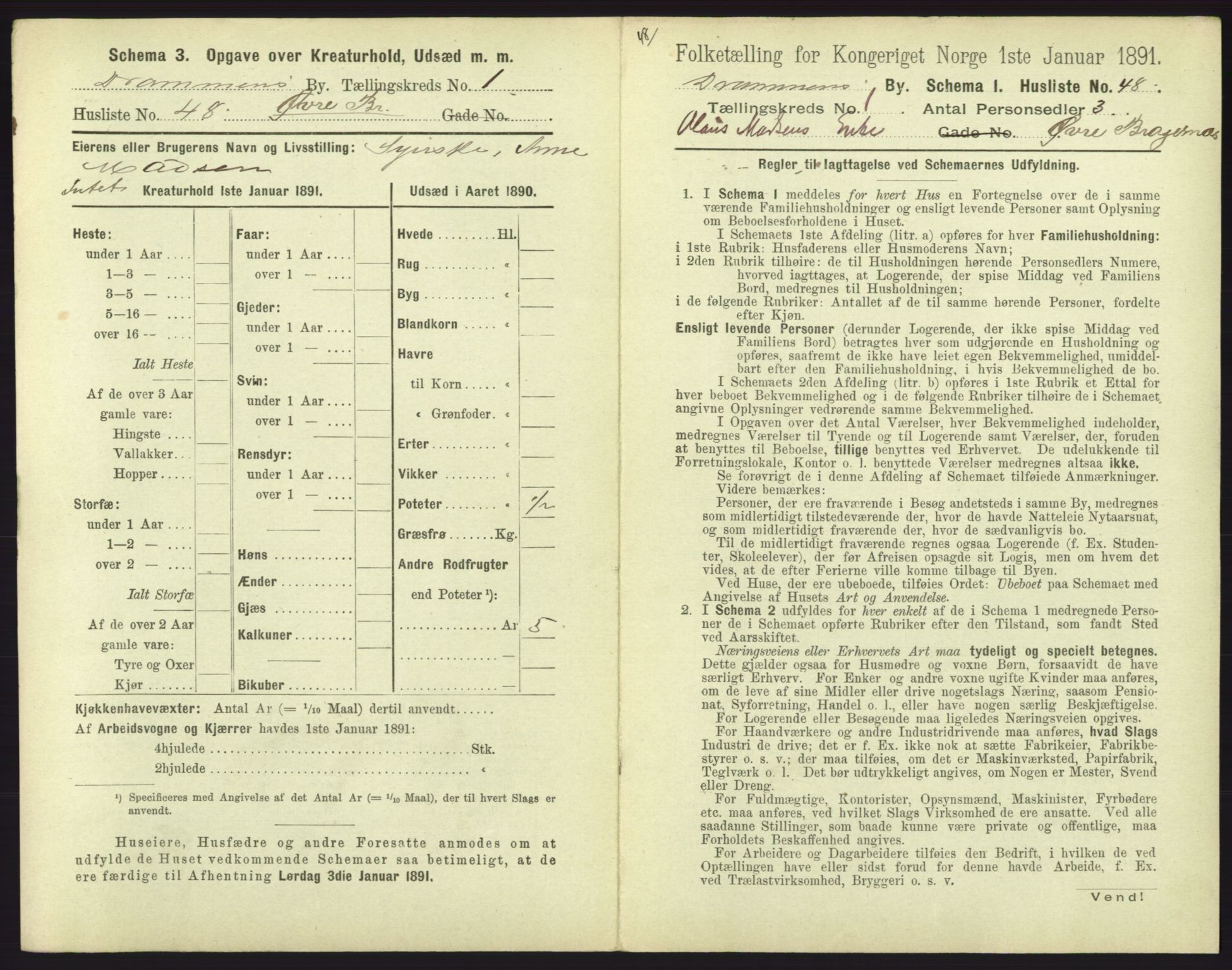 RA, 1891 census for 0602 Drammen, 1891, p. 191