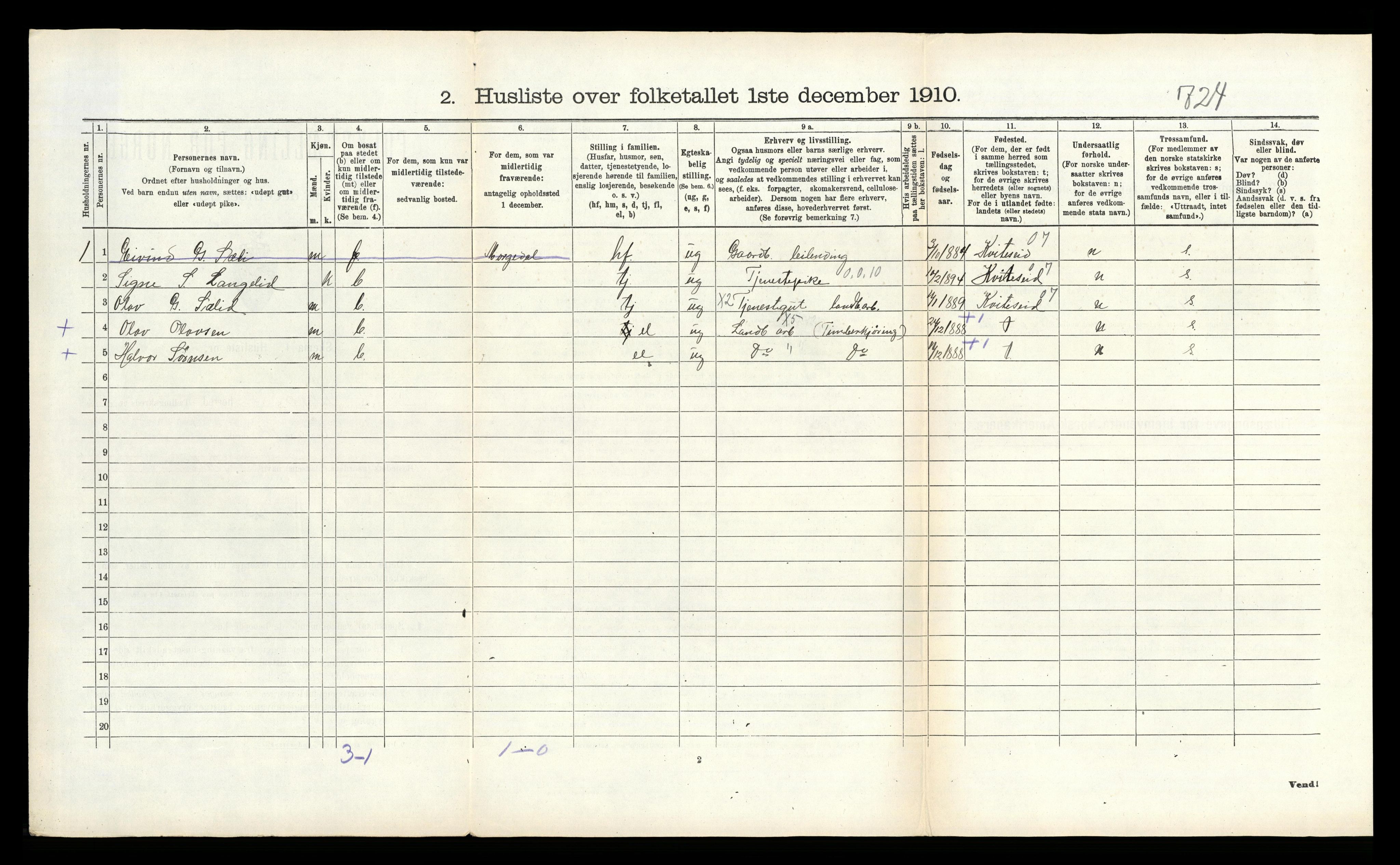 RA, 1910 census for Seljord, 1910, p. 300