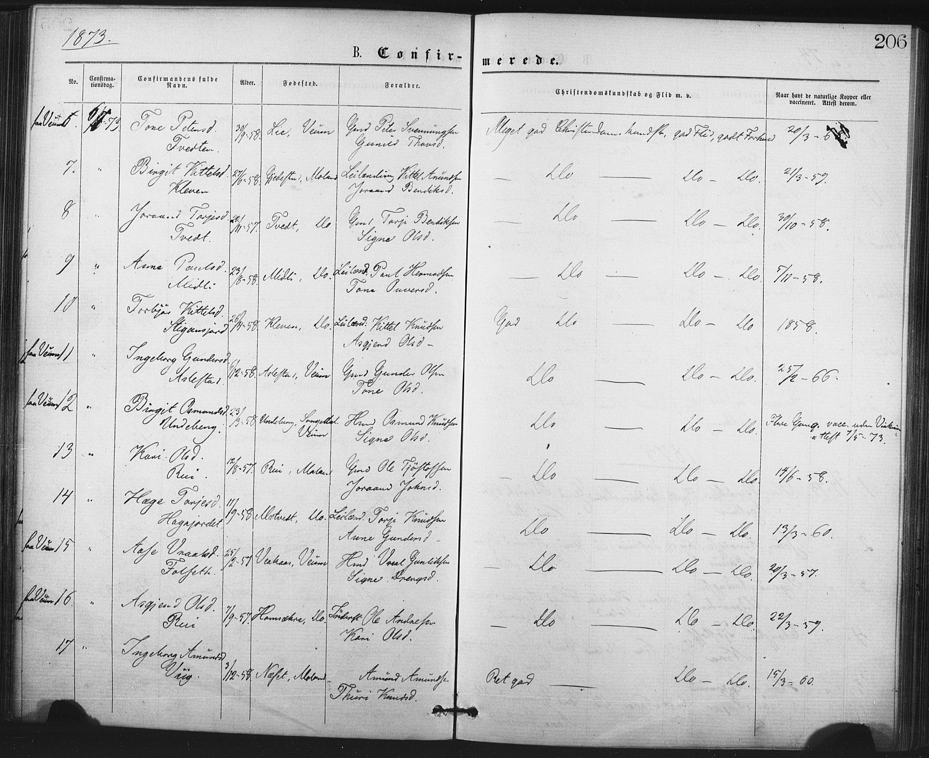 Fyresdal kirkebøker, AV/SAKO-A-263/F/Fa/L0006: Parish register (official) no. I 6, 1872-1886, p. 206