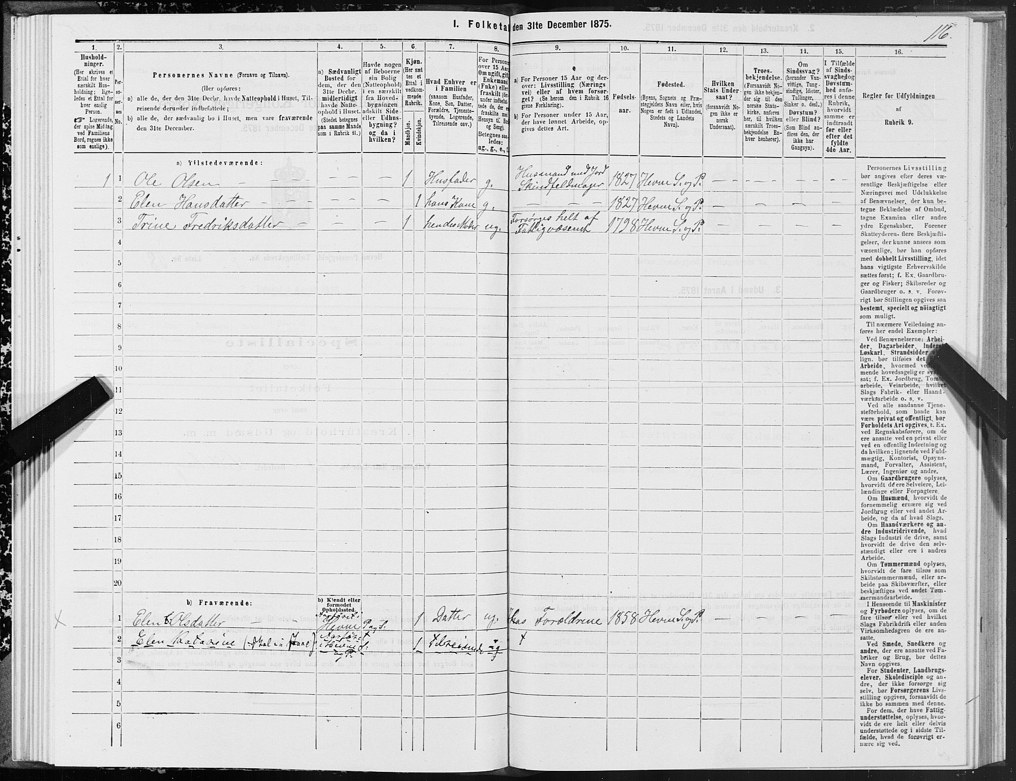 SAT, 1875 census for 1612P Hemne, 1875, p. 4116