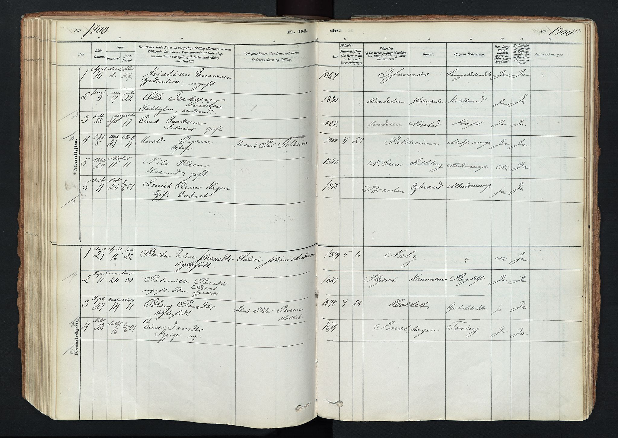 Trysil prestekontor, AV/SAH-PREST-046/H/Ha/Haa/L0011: Parish register (official) no. 11, 1878-1912, p. 218