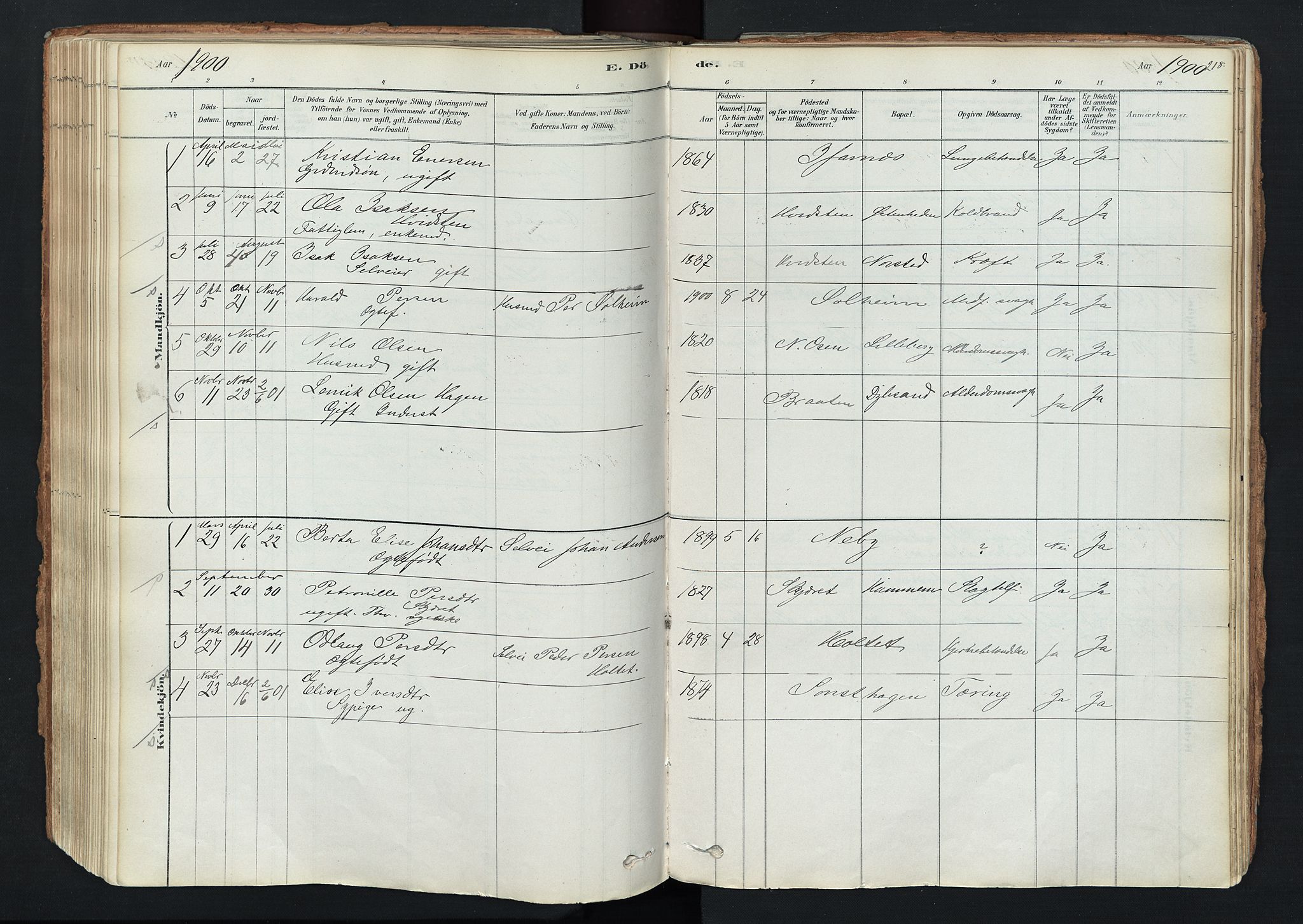 Trysil prestekontor, SAH/PREST-046/H/Ha/Haa/L0011: Parish register (official) no. 11, 1878-1912, p. 218