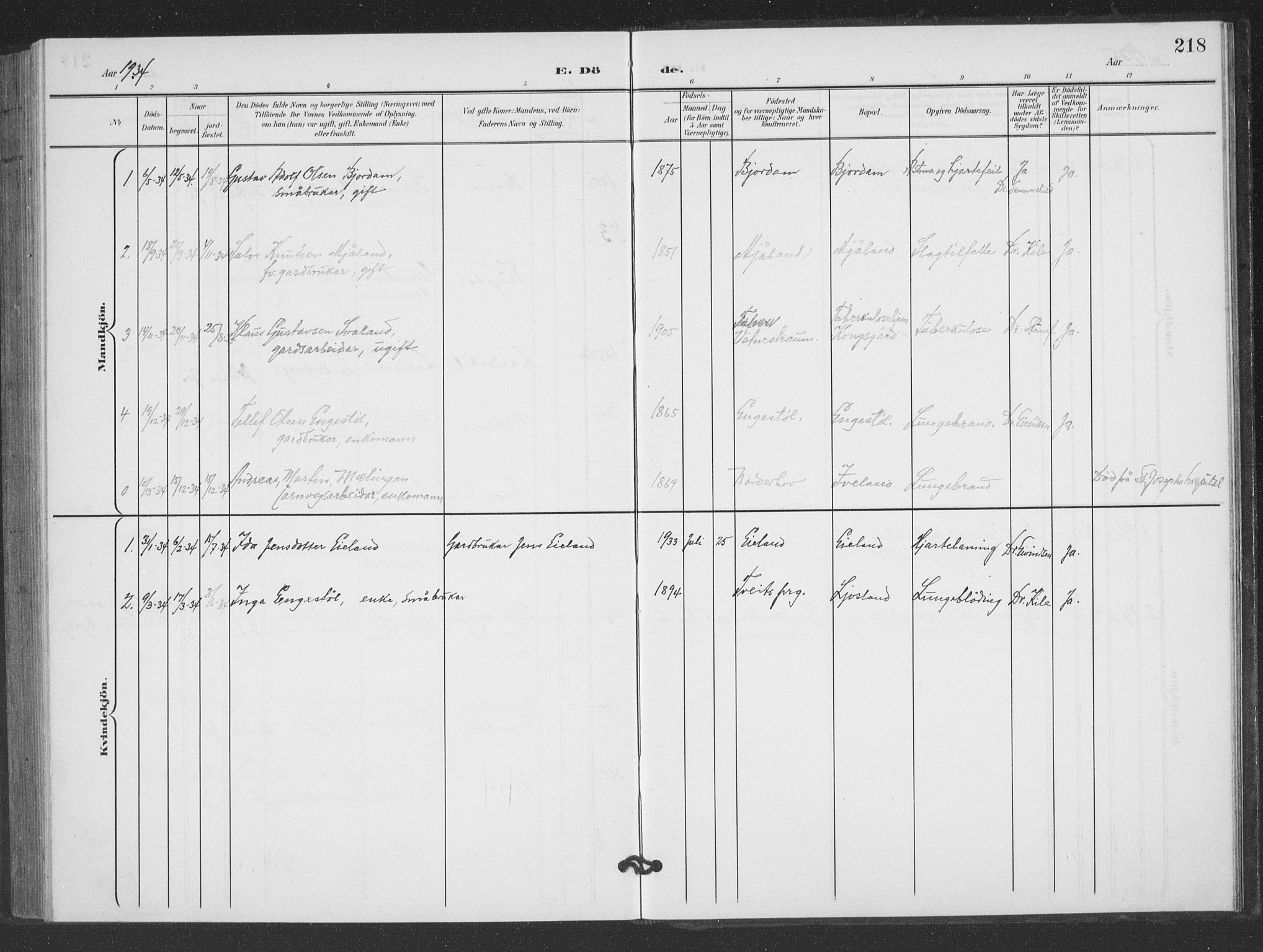 Evje sokneprestkontor, AV/SAK-1111-0008/F/Fb/Fbc/L0005: Parish register (copy) no. B 5, 1901-1935, p. 218