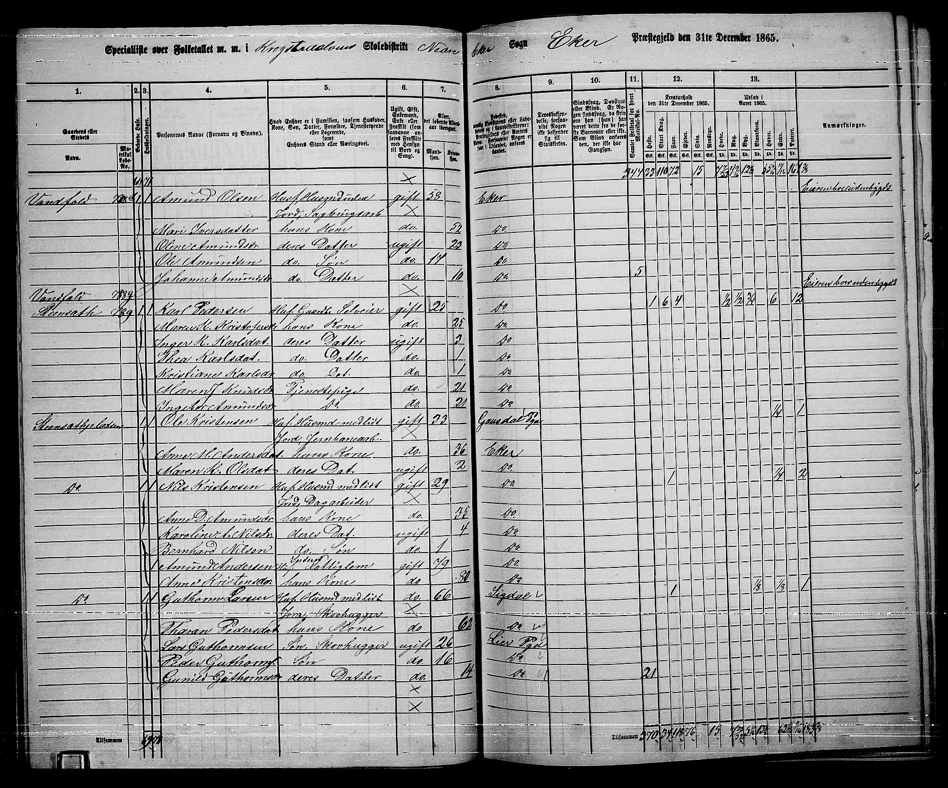 RA, 1865 census for Eiker, 1865, p. 336