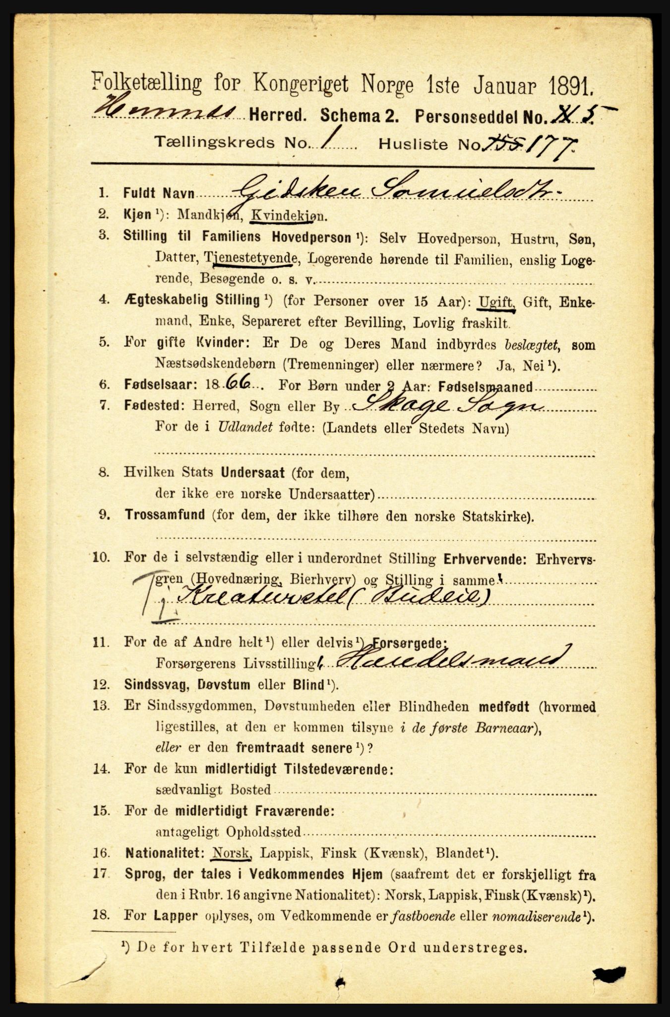 RA, 1891 census for 1832 Hemnes, 1891, p. 1209