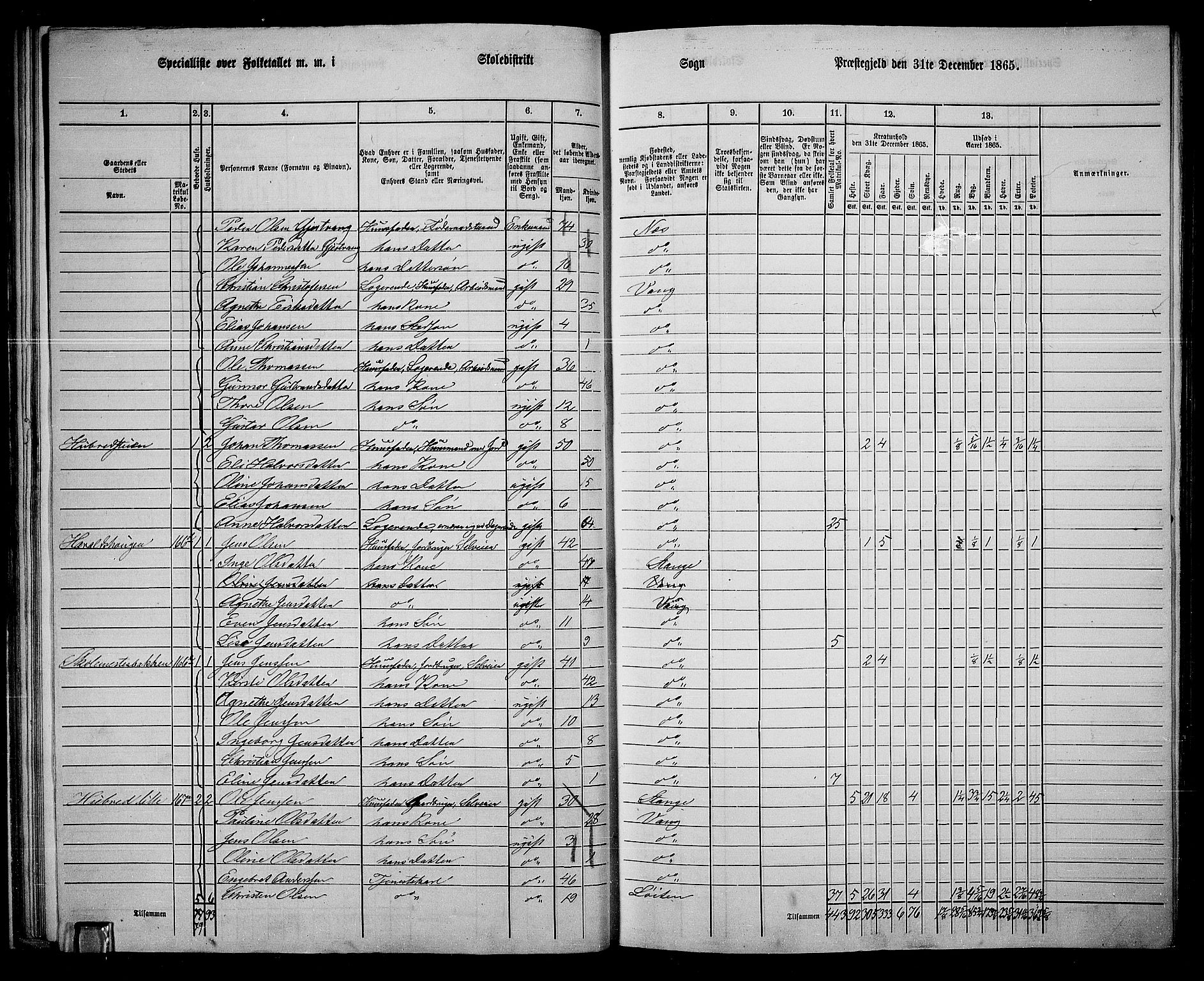 RA, 1865 census for Vang/Vang og Furnes, 1865, p. 192