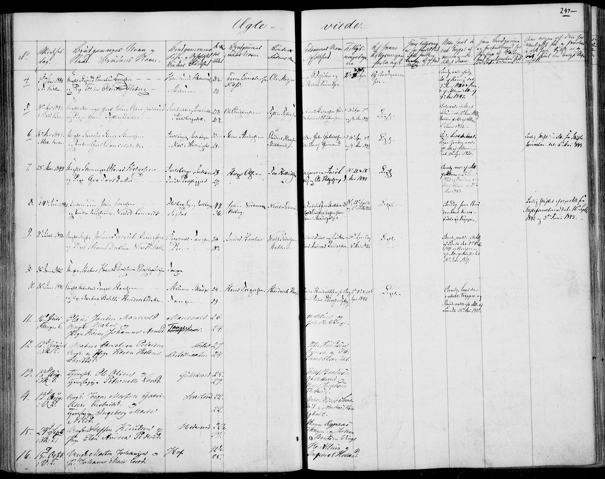 Skoger kirkebøker, SAKO/A-59/F/Fa/L0003: Parish register (official) no. I 3, 1842-1861, p. 247