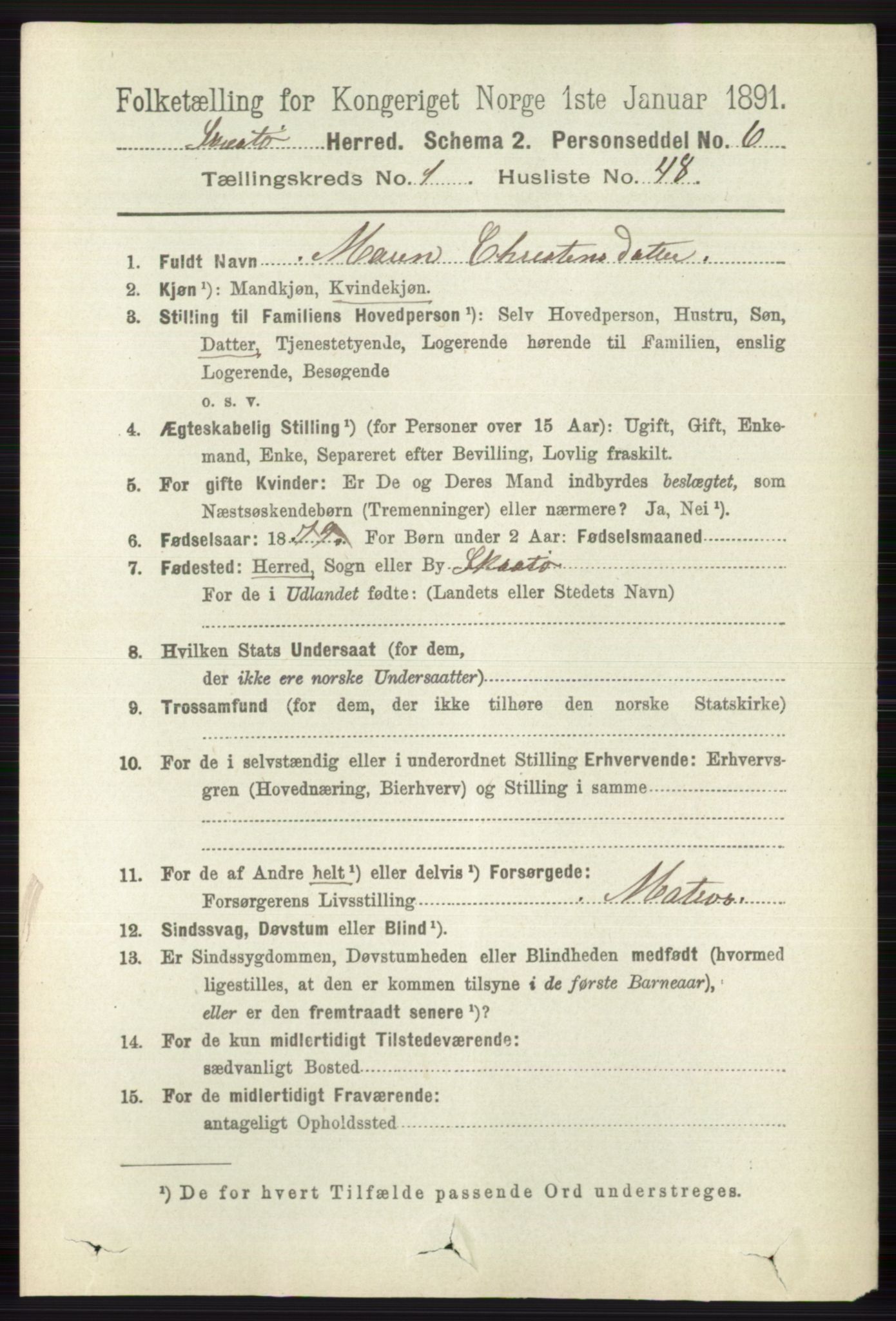 RA, 1891 census for 0815 Skåtøy, 1891, p. 374