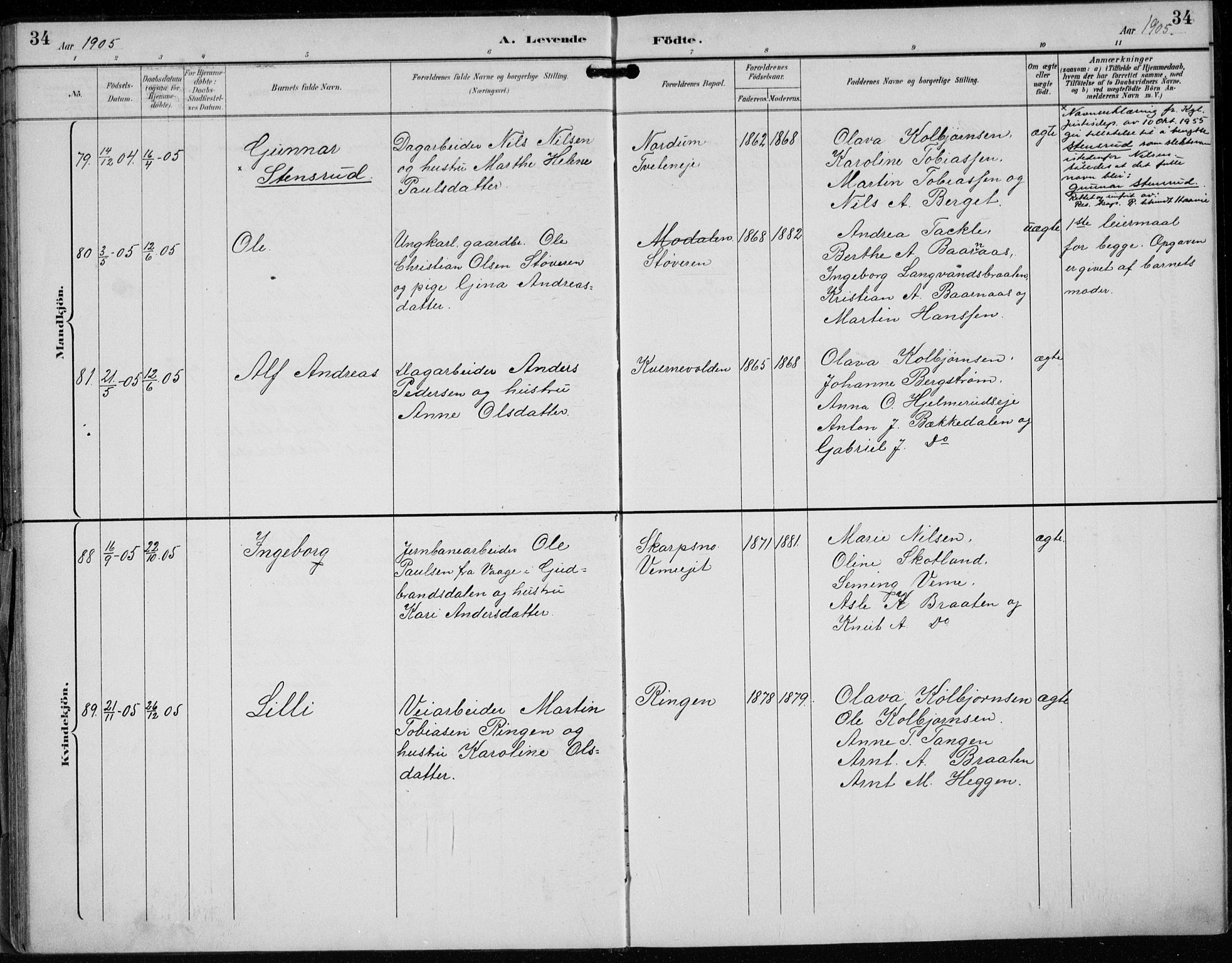 Lunder kirkebøker, AV/SAKO-A-629/F/Fb/L0001: Parish register (official) no. II 1, 1893-1916, p. 34