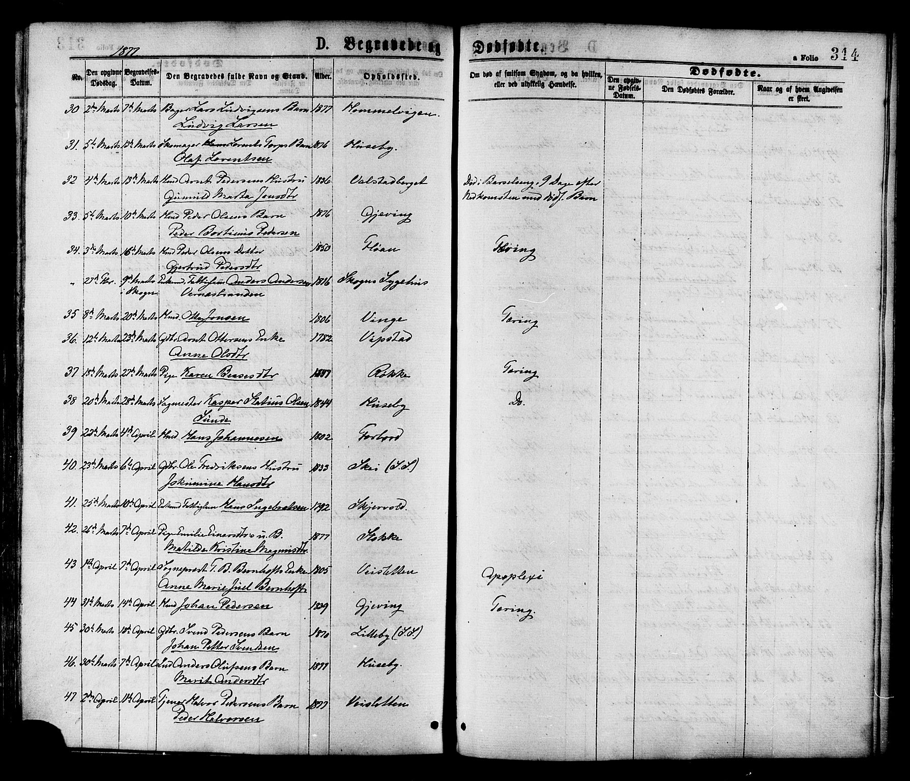 Ministerialprotokoller, klokkerbøker og fødselsregistre - Nord-Trøndelag, AV/SAT-A-1458/709/L0076: Parish register (official) no. 709A16, 1871-1879, p. 314