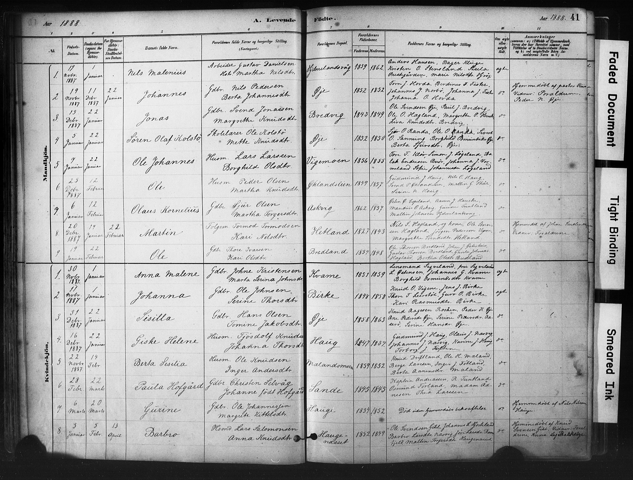 Hjelmeland sokneprestkontor, AV/SAST-A-101843/01/IV/L0014: Parish register (official) no. A 14, 1879-1900, p. 41