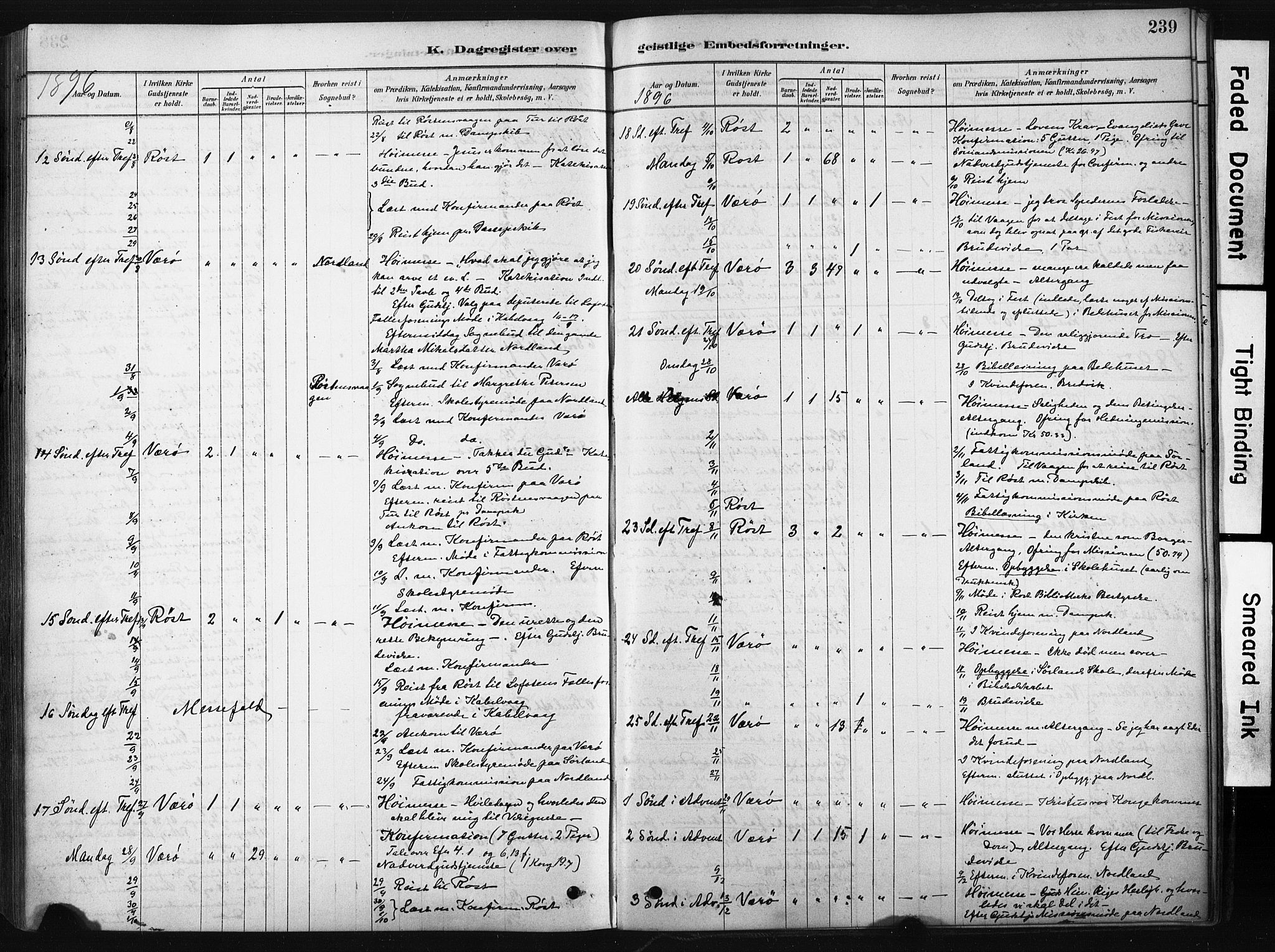 Ministerialprotokoller, klokkerbøker og fødselsregistre - Nordland, AV/SAT-A-1459/808/L0128: Parish register (official) no. 808A01, 1880-1902, p. 239