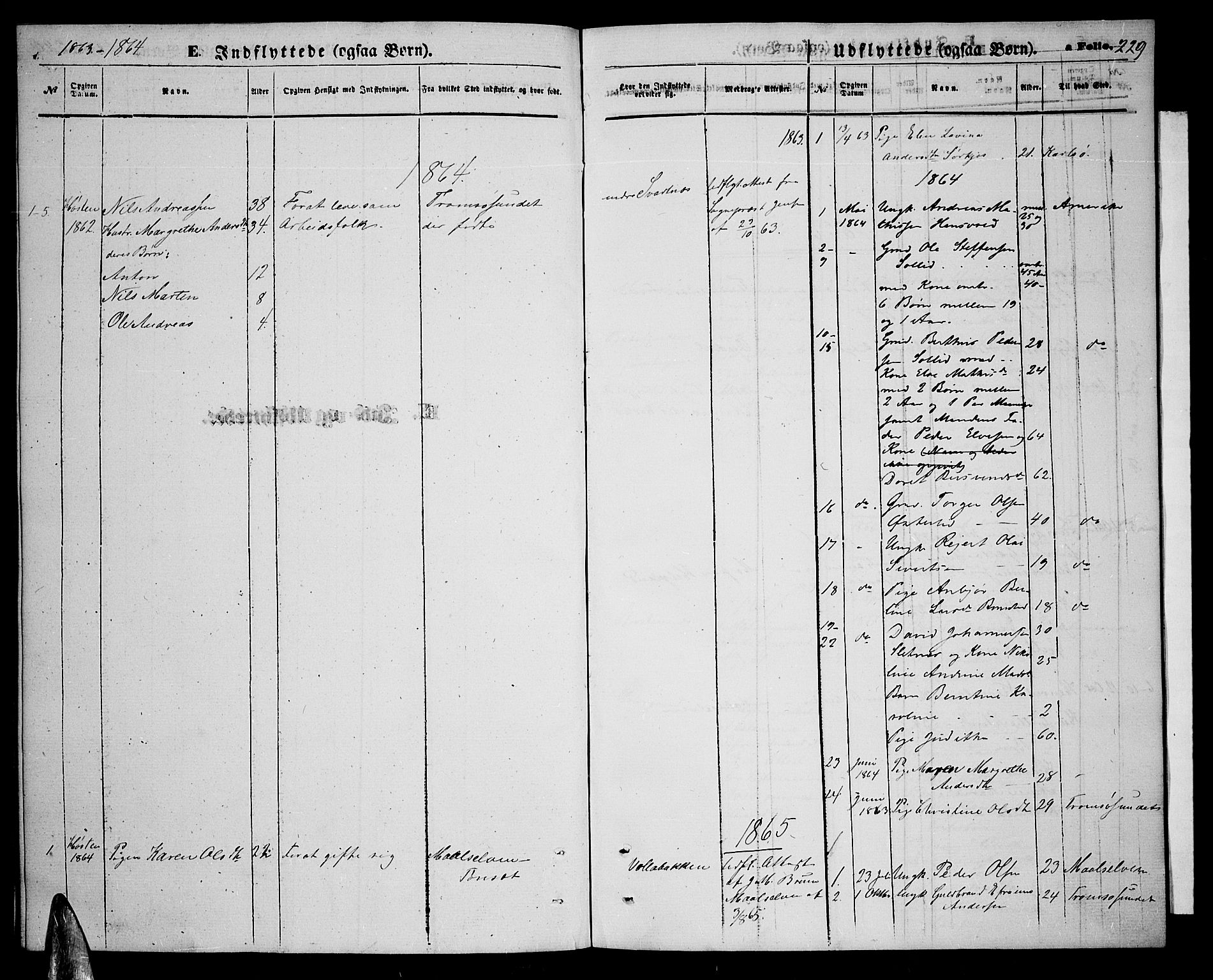 Balsfjord sokneprestembete, SATØ/S-1303/G/Ga/L0006klokker: Parish register (copy) no. 6, 1863-1878, p. 229