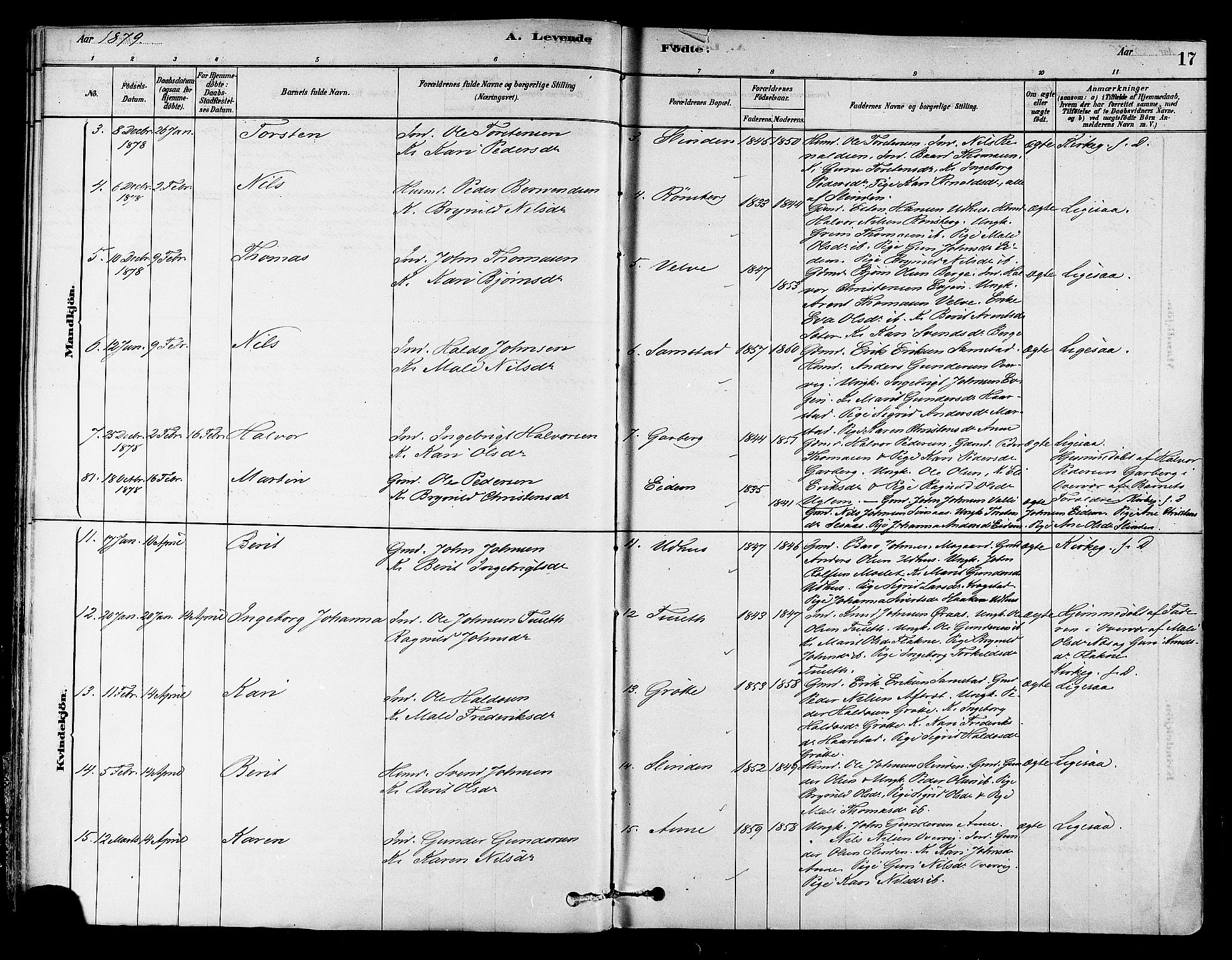 Ministerialprotokoller, klokkerbøker og fødselsregistre - Sør-Trøndelag, SAT/A-1456/695/L1148: Parish register (official) no. 695A08, 1878-1891, p. 17