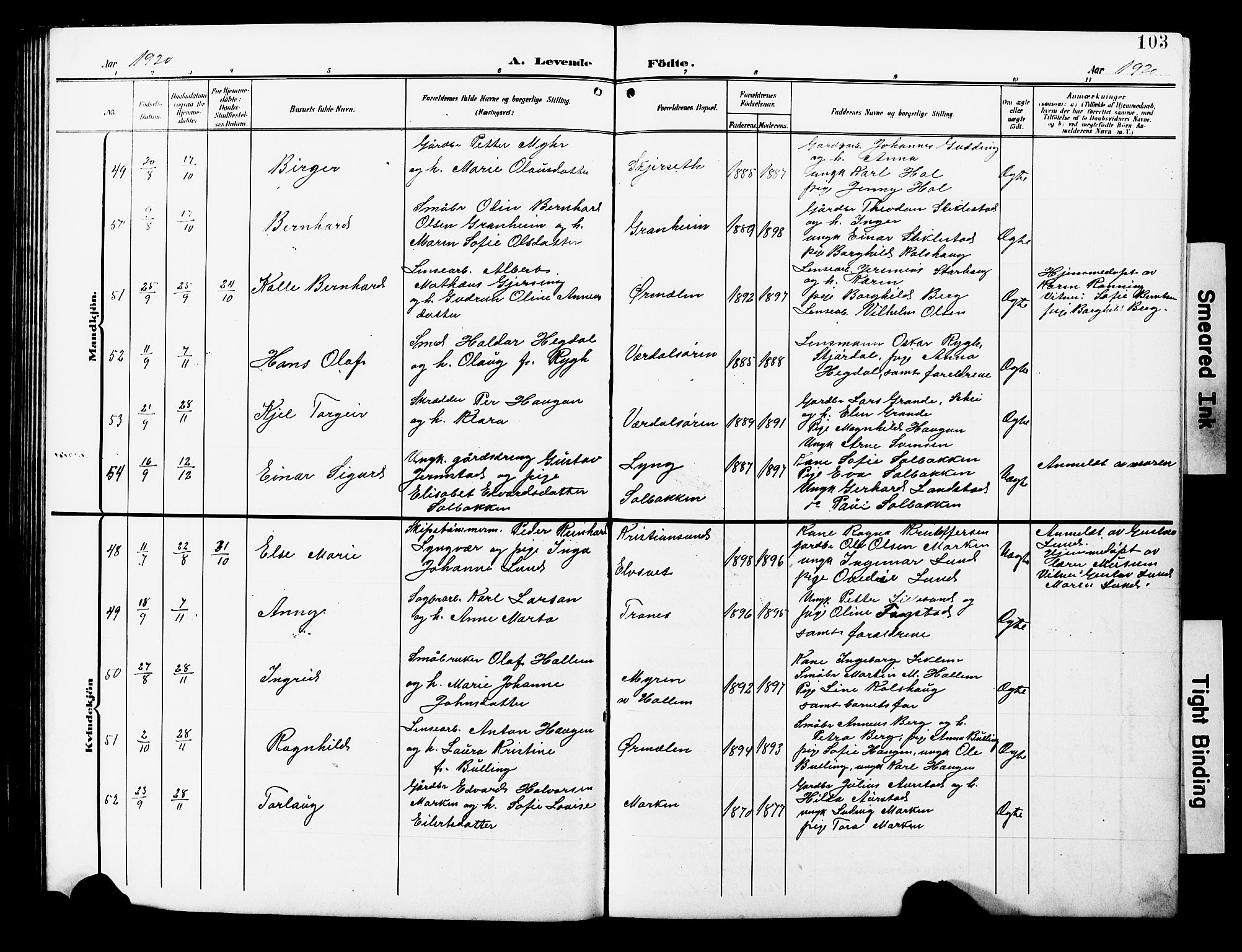 Ministerialprotokoller, klokkerbøker og fødselsregistre - Nord-Trøndelag, AV/SAT-A-1458/723/L0258: Parish register (copy) no. 723C06, 1908-1927, p. 103