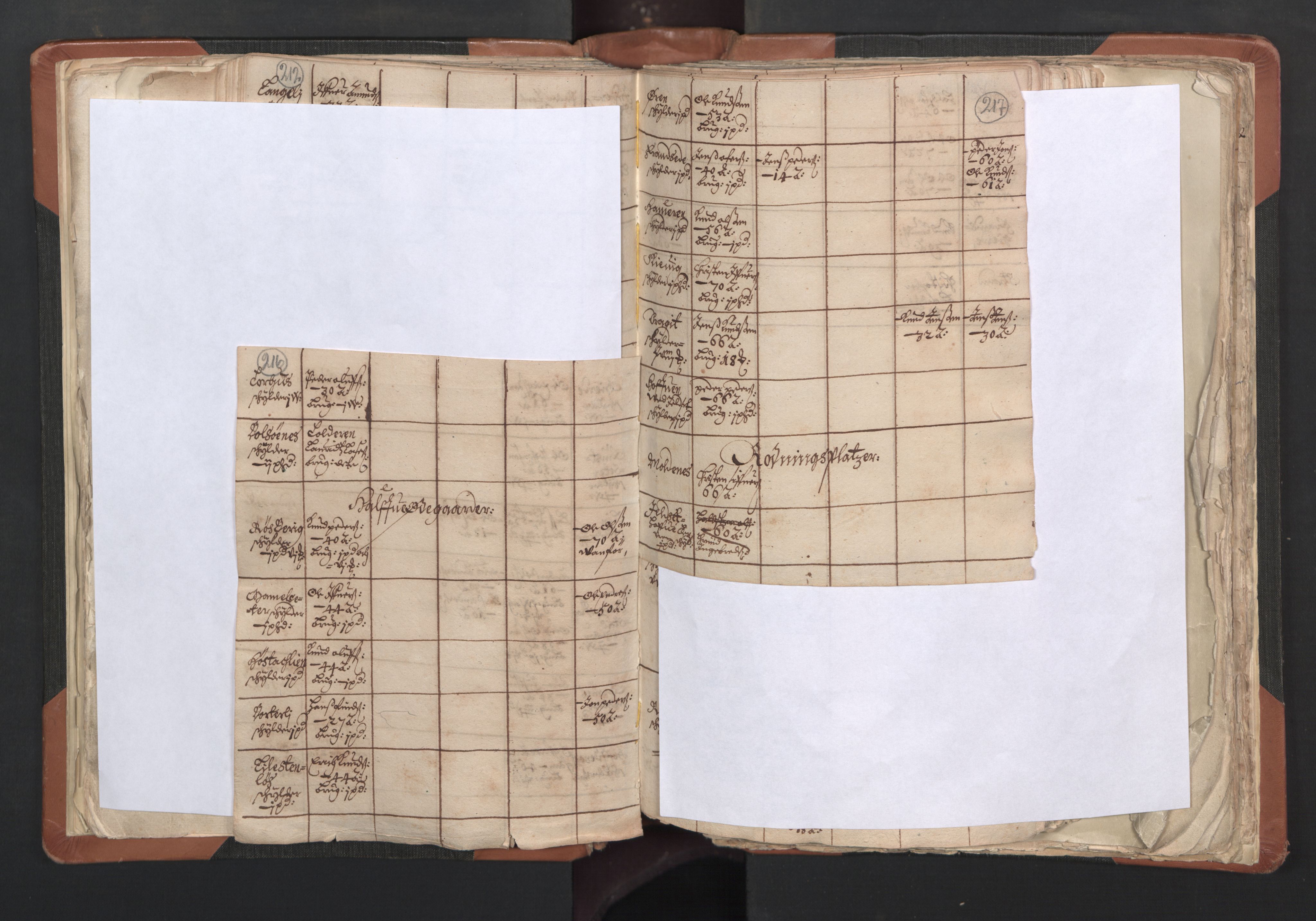 RA, Vicar's Census 1664-1666, no. 27: Romsdal deanery, 1664-1666, p. 216-217