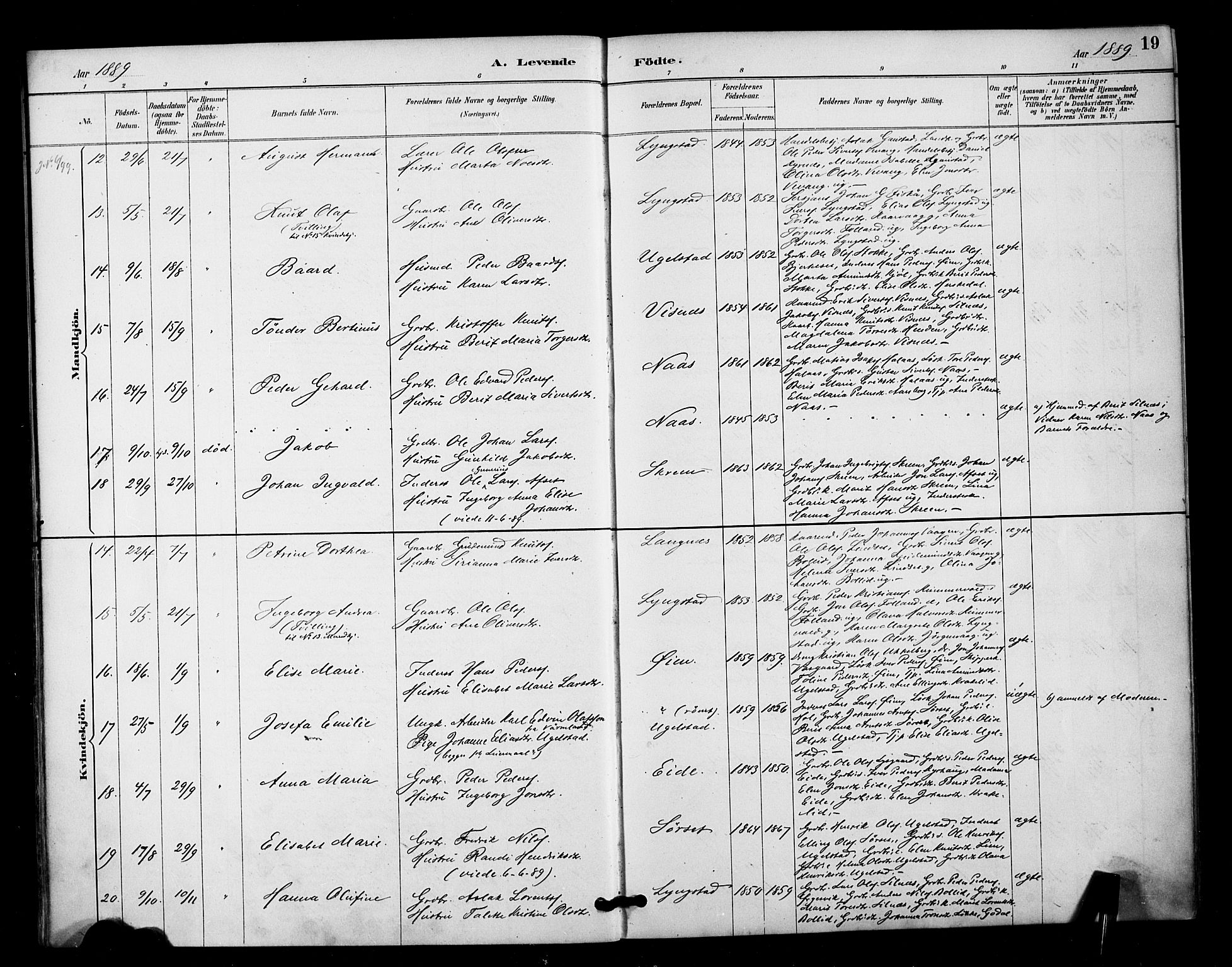 Ministerialprotokoller, klokkerbøker og fødselsregistre - Møre og Romsdal, AV/SAT-A-1454/571/L0836: Parish register (official) no. 571A01, 1884-1899, p. 19
