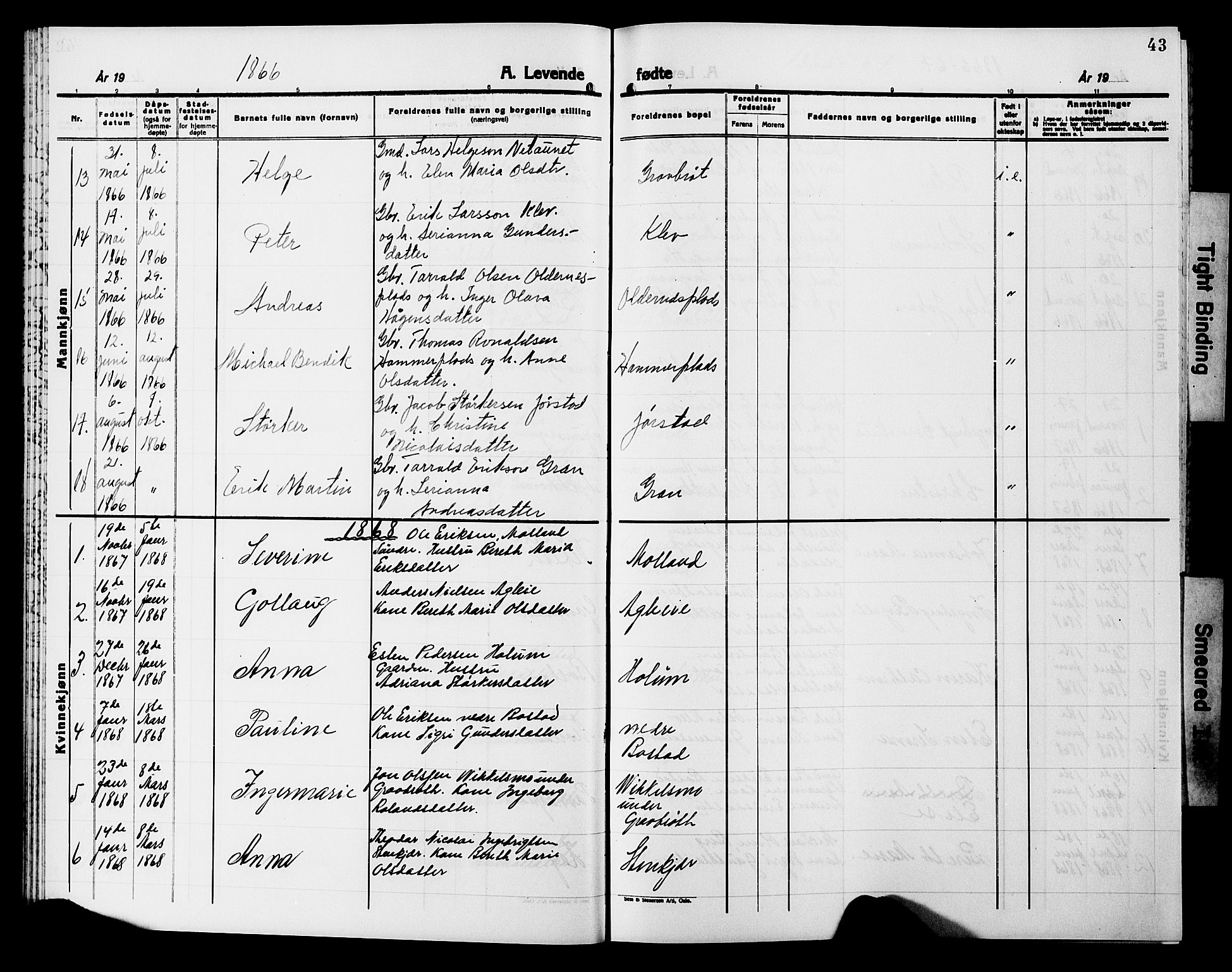 Ministerialprotokoller, klokkerbøker og fødselsregistre - Nord-Trøndelag, SAT/A-1458/749/L0485: Parish register (official) no. 749D01, 1857-1872, p. 43