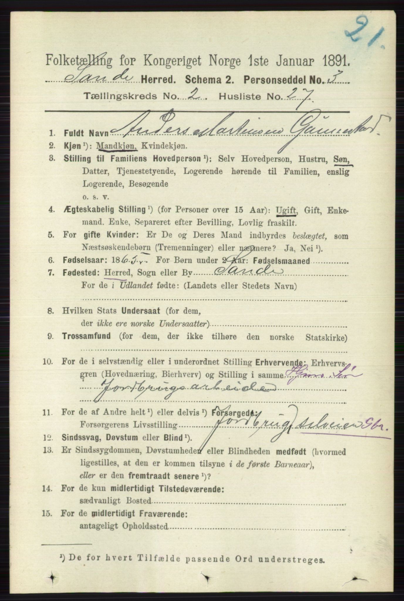 RA, 1891 census for 0713 Sande, 1891, p. 733