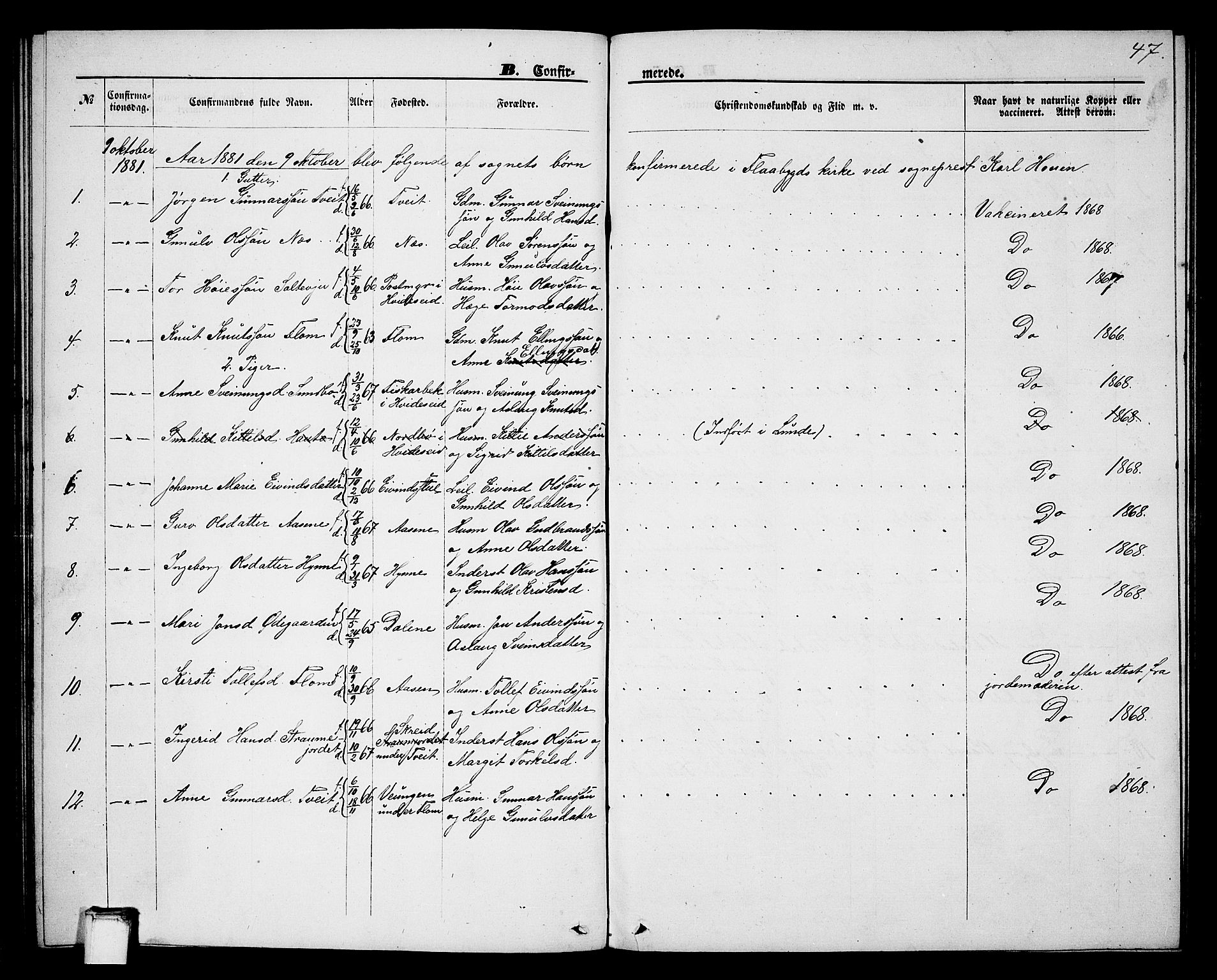 Lunde kirkebøker, AV/SAKO-A-282/G/Gb/L0001: Parish register (copy) no. II 1, 1866-1887, p. 47