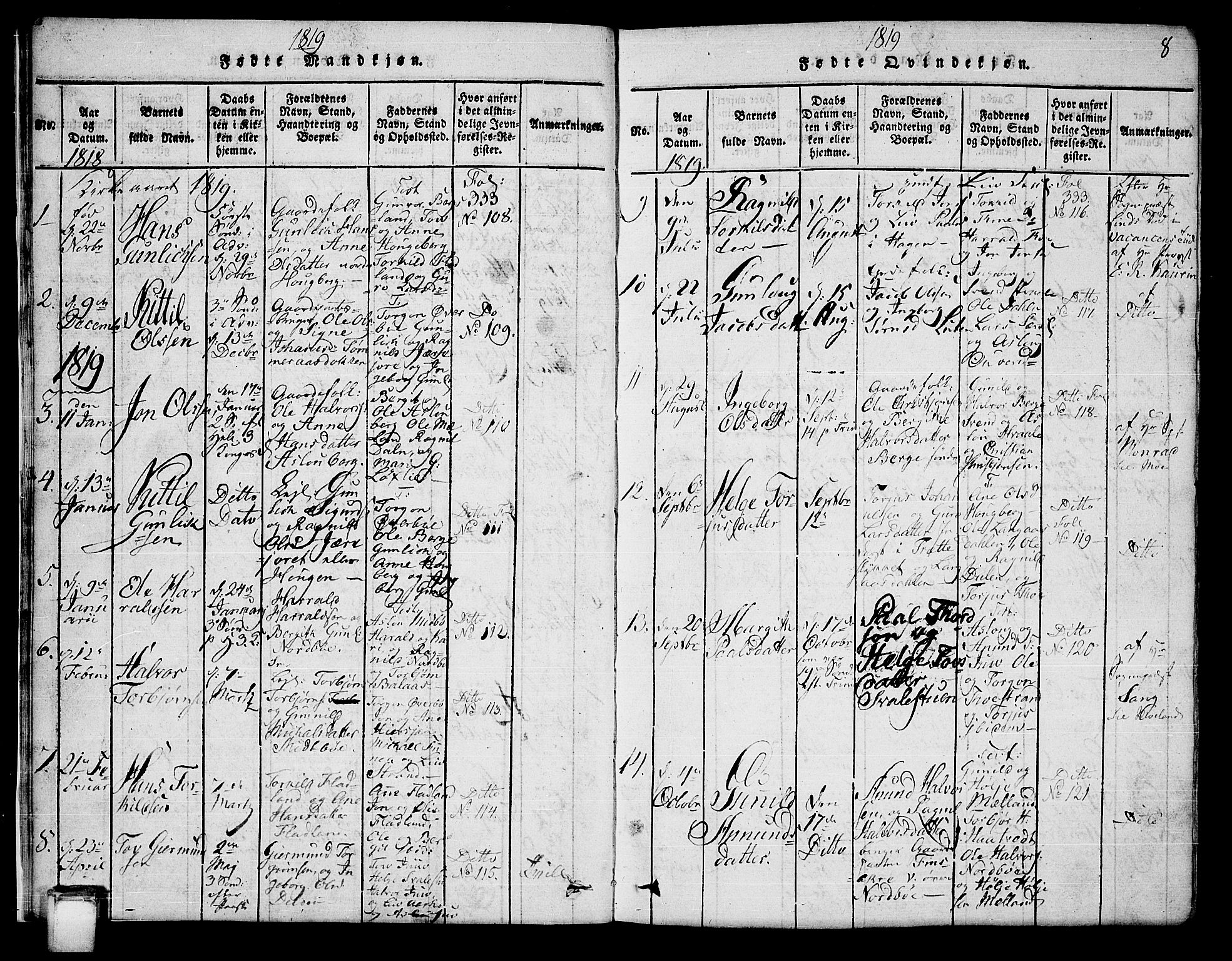 Hjartdal kirkebøker, SAKO/A-270/G/Ga/L0001: Parish register (copy) no. I 1, 1815-1842, p. 8