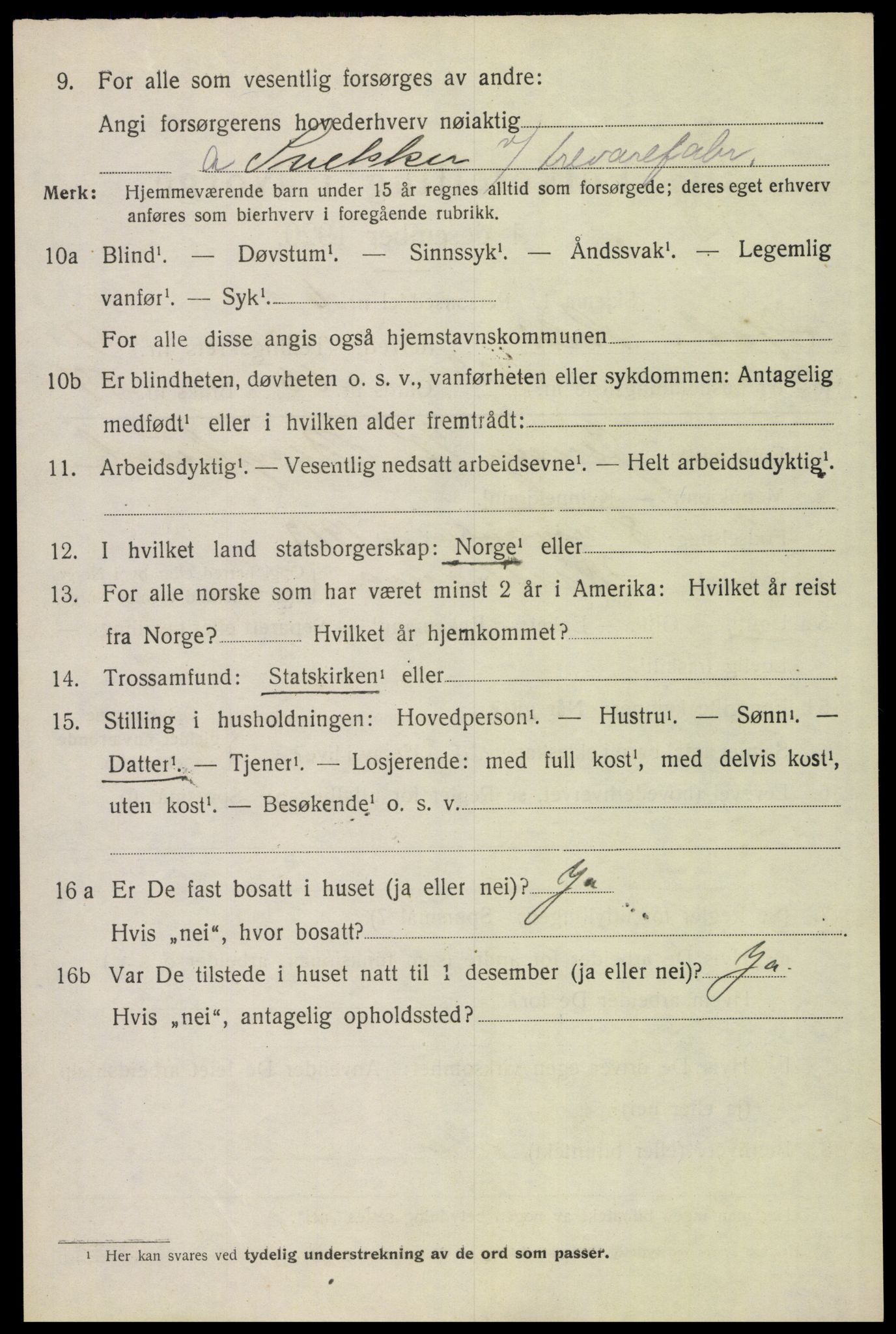 SAH, 1920 census for Hof, 1920, p. 7094