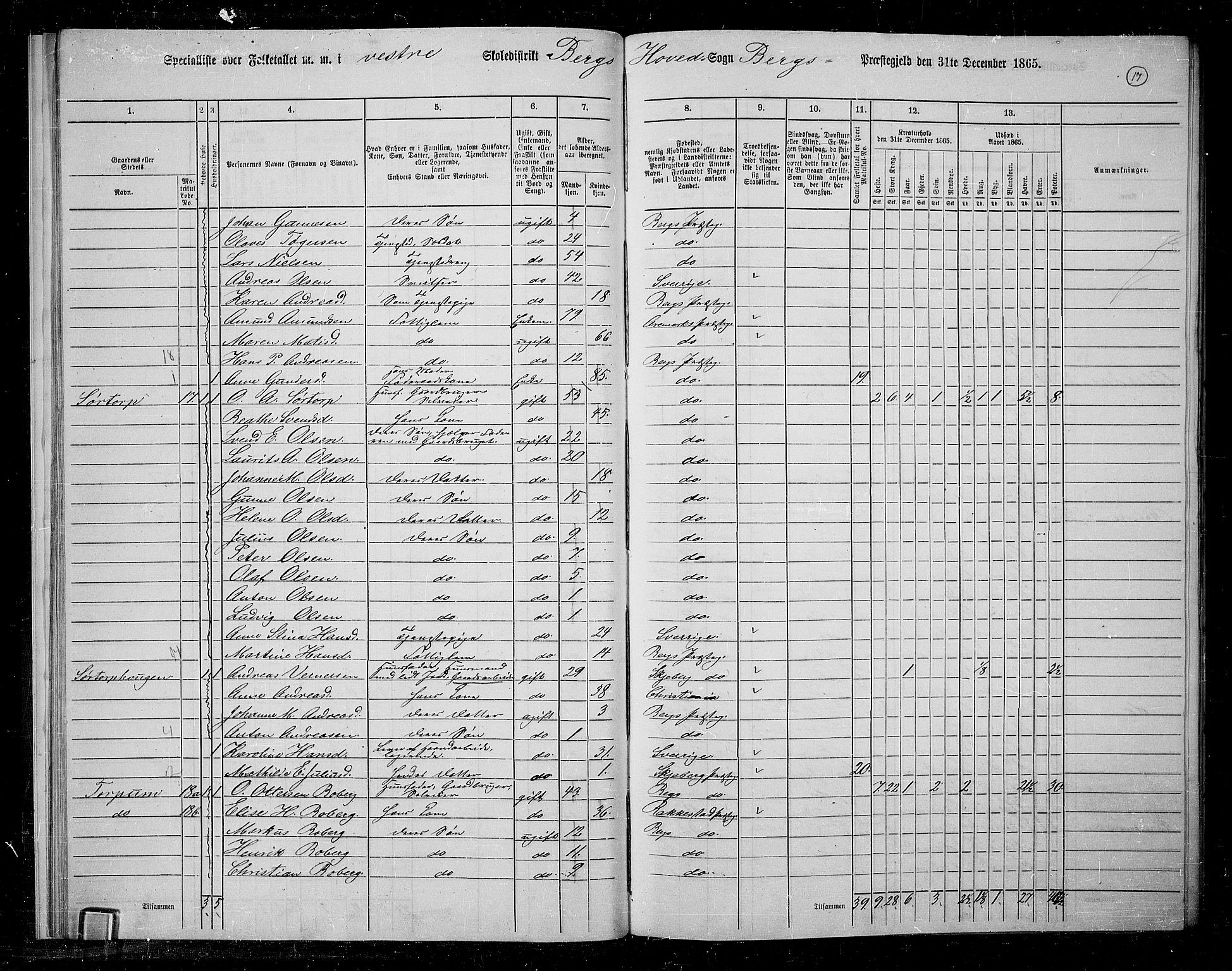 RA, 1865 census for Berg, 1865, p. 17