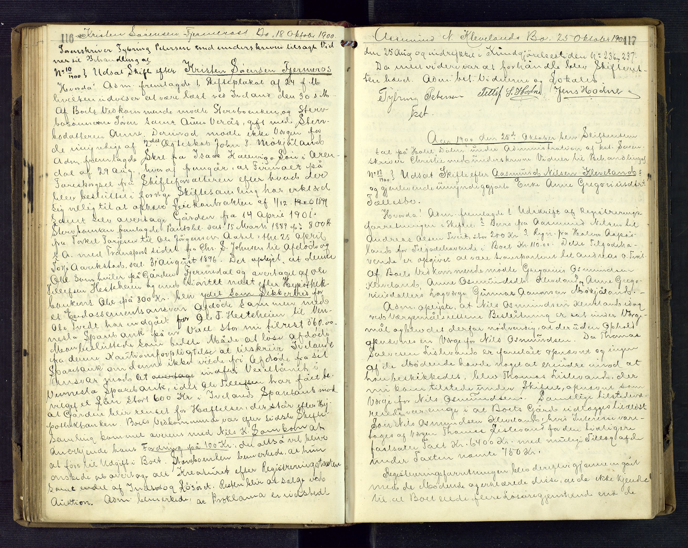 Setesdal sorenskriveri, AV/SAK-1221-0011/H/Hc/L0037: Skifteforhandlingsprotokoll nr 9, 1898-1905, p. 116-117