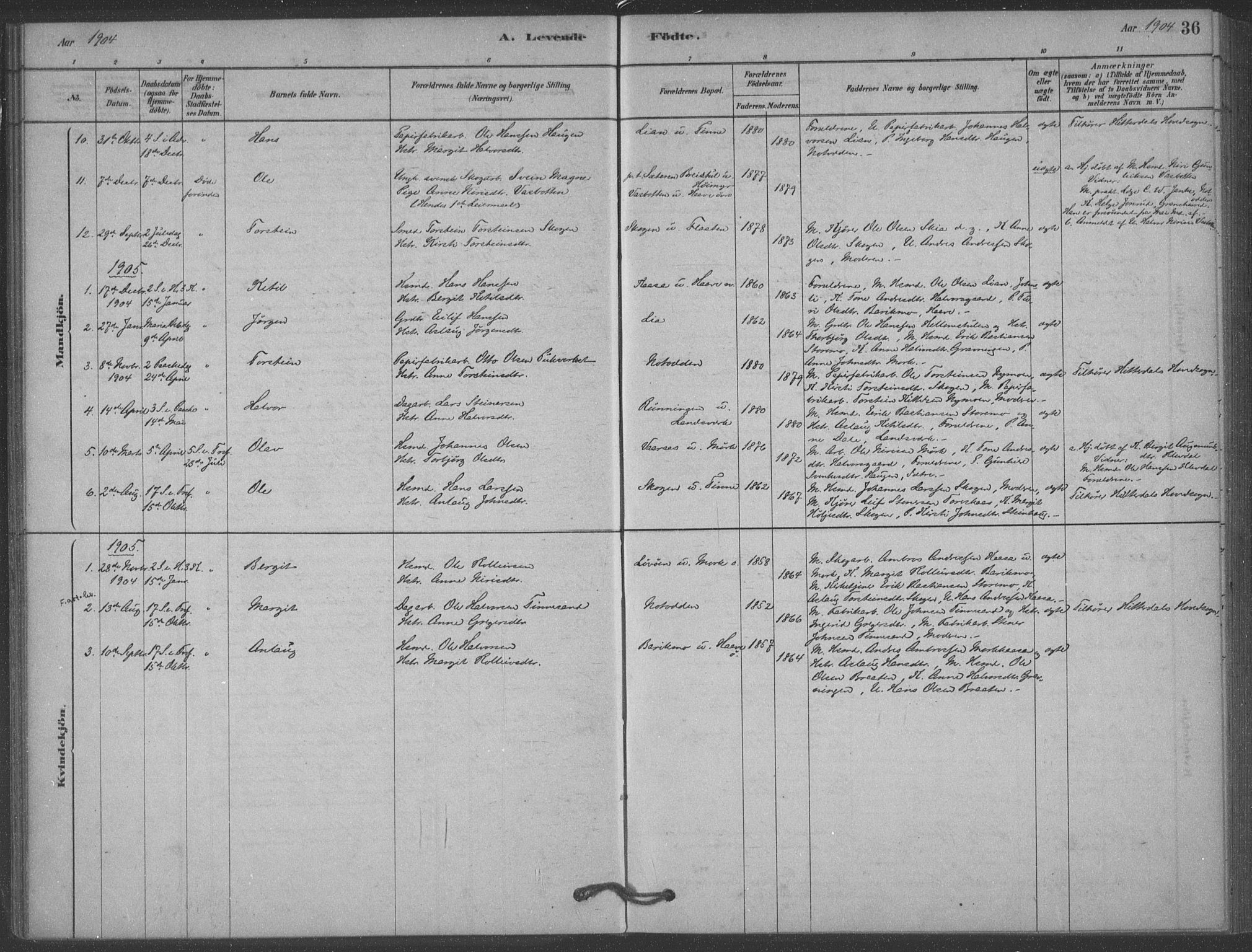 Heddal kirkebøker, SAKO/A-268/F/Fb/L0002: Parish register (official) no. II 2, 1878-1913, p. 36