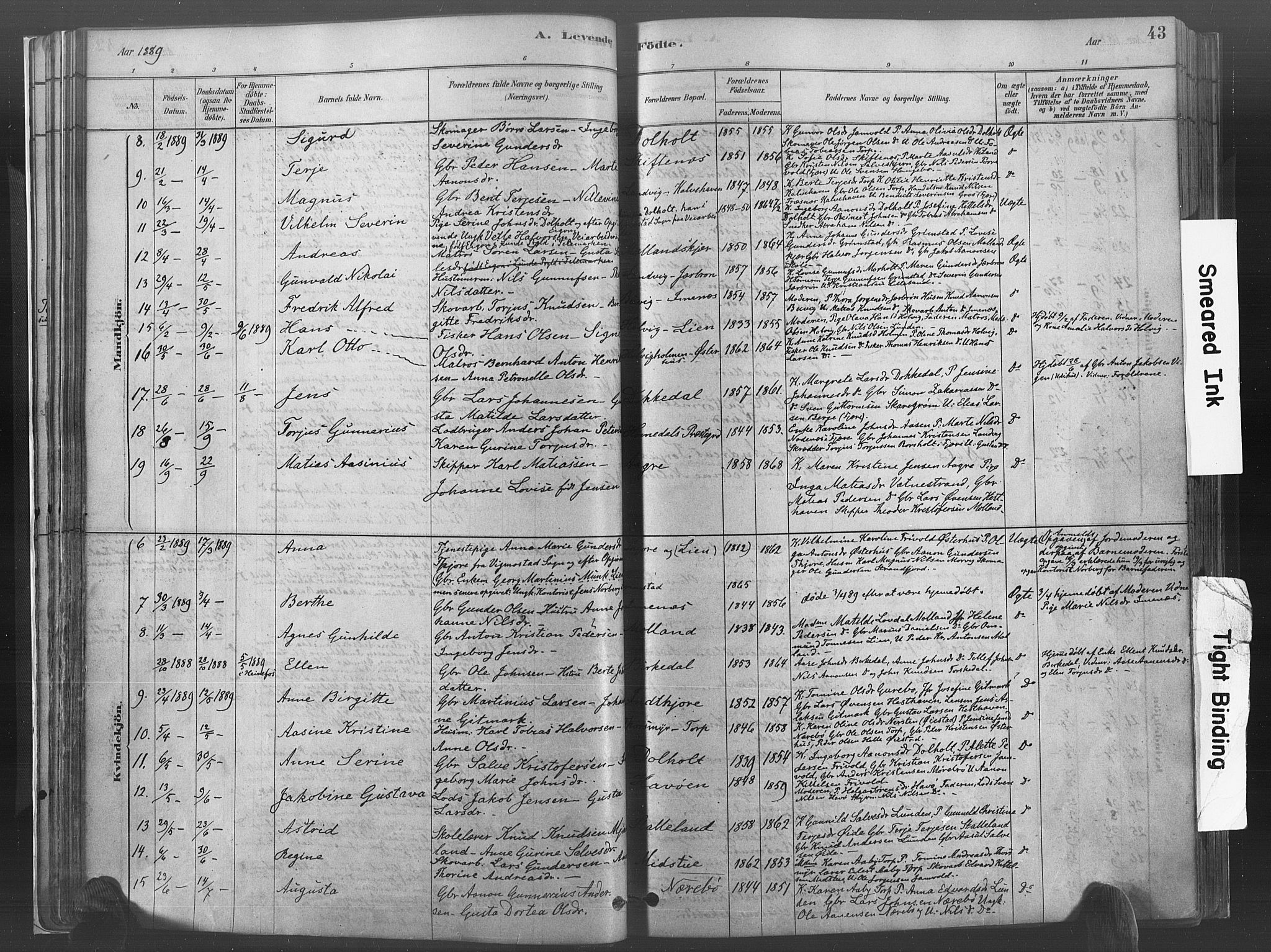 Hommedal sokneprestkontor, SAK/1111-0023/F/Fa/Fab/L0006: Parish register (official) no. A 6, 1878-1897, p. 43