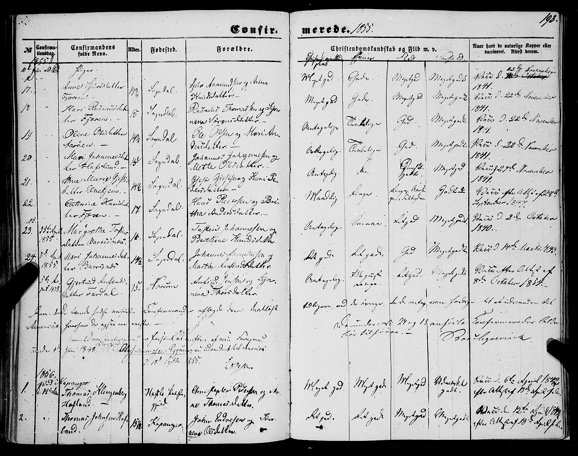 Sogndal sokneprestembete, SAB/A-81301/H/Haa/Haaa/L0012I: Parish register (official) no. A 12I, 1847-1859, p. 193