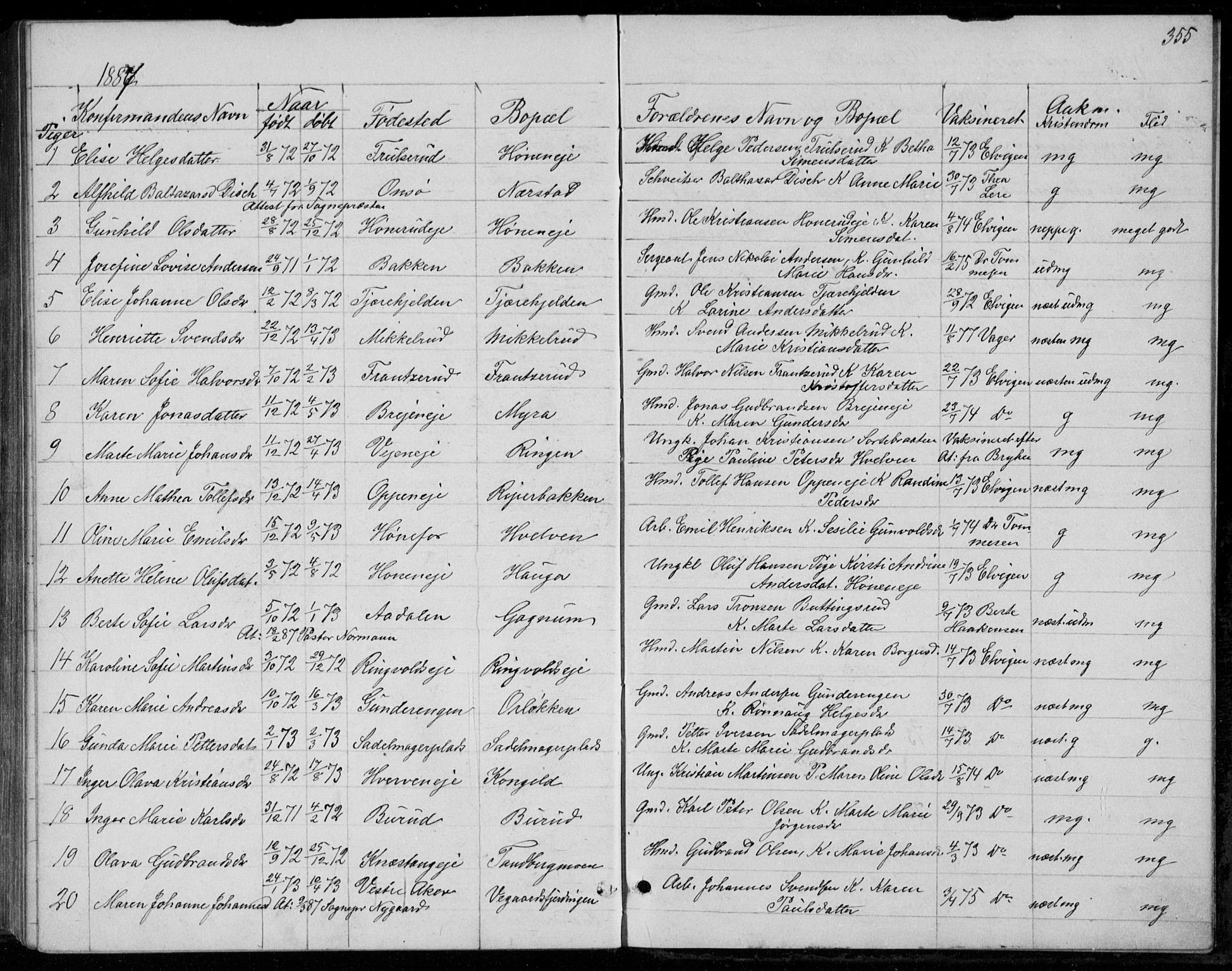 Norderhov kirkebøker, AV/SAKO-A-237/G/Ga/L0007: Parish register (copy) no. I 7, 1877-1887, p. 355