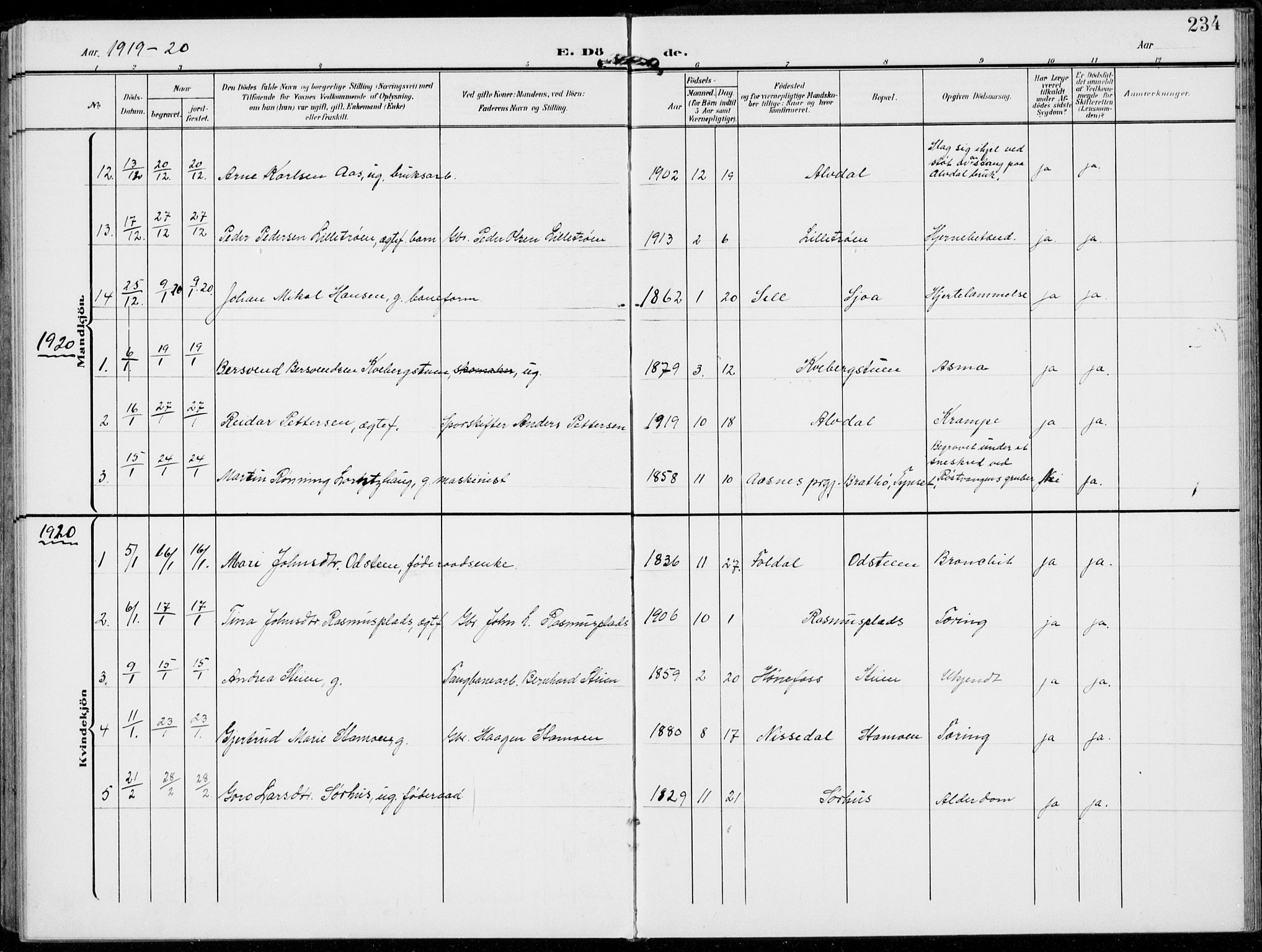 Alvdal prestekontor, SAH/PREST-060/H/Ha/Haa/L0004: Parish register (official) no. 4, 1907-1919, p. 234