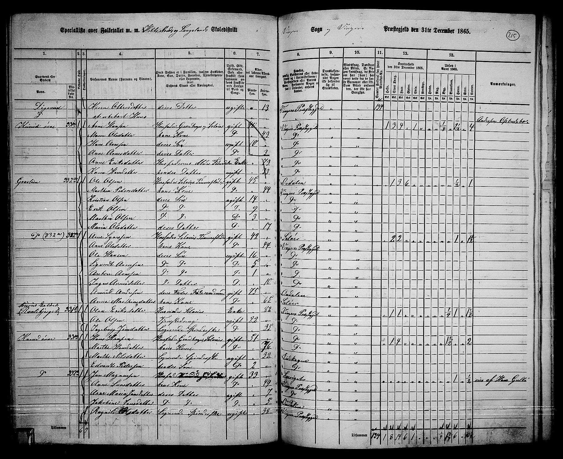 RA, 1865 census for Vinger/Vinger og Austmarka, 1865, p. 197