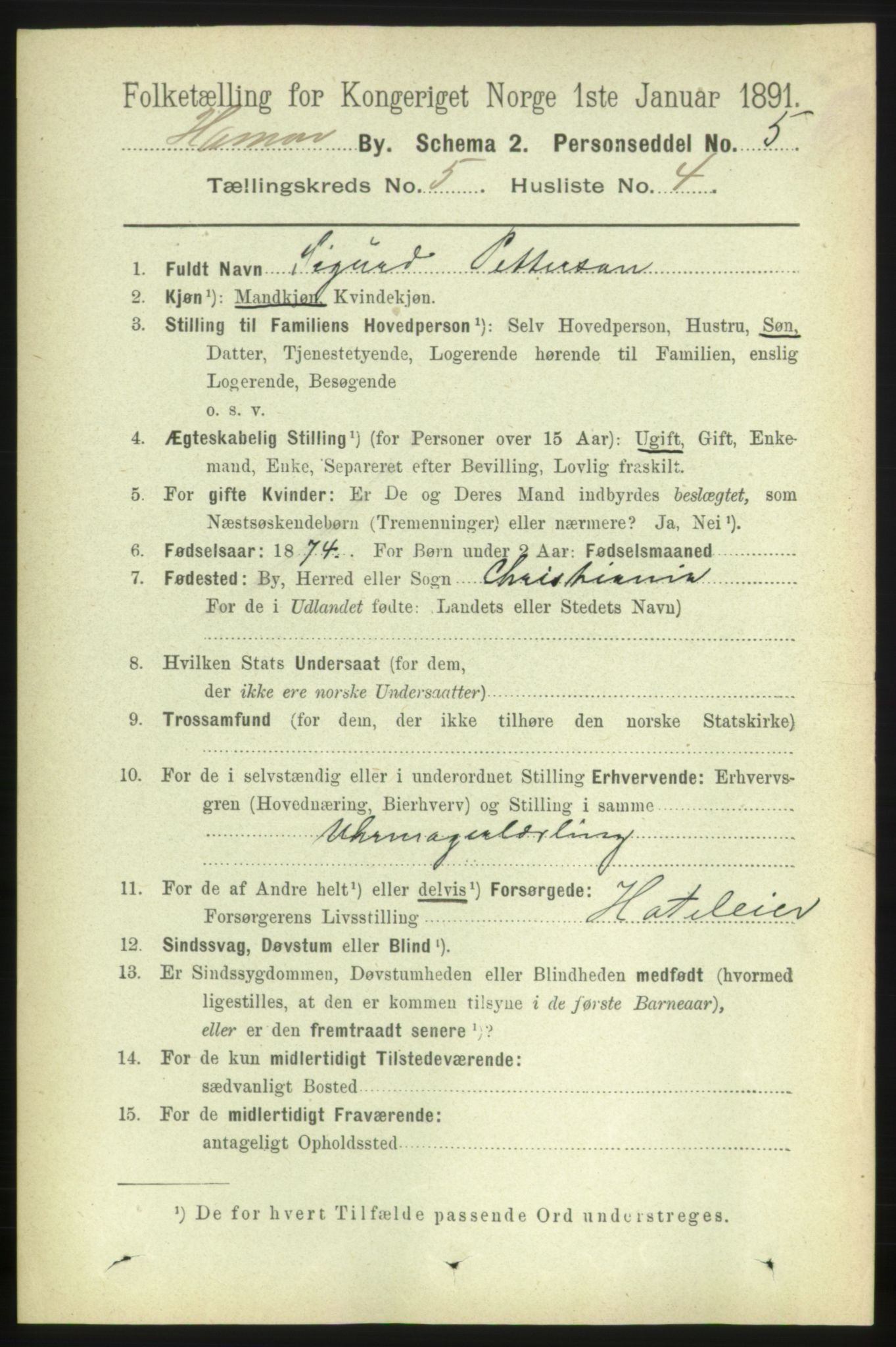 RA, 1891 census for 0401 Hamar, 1891, p. 3739