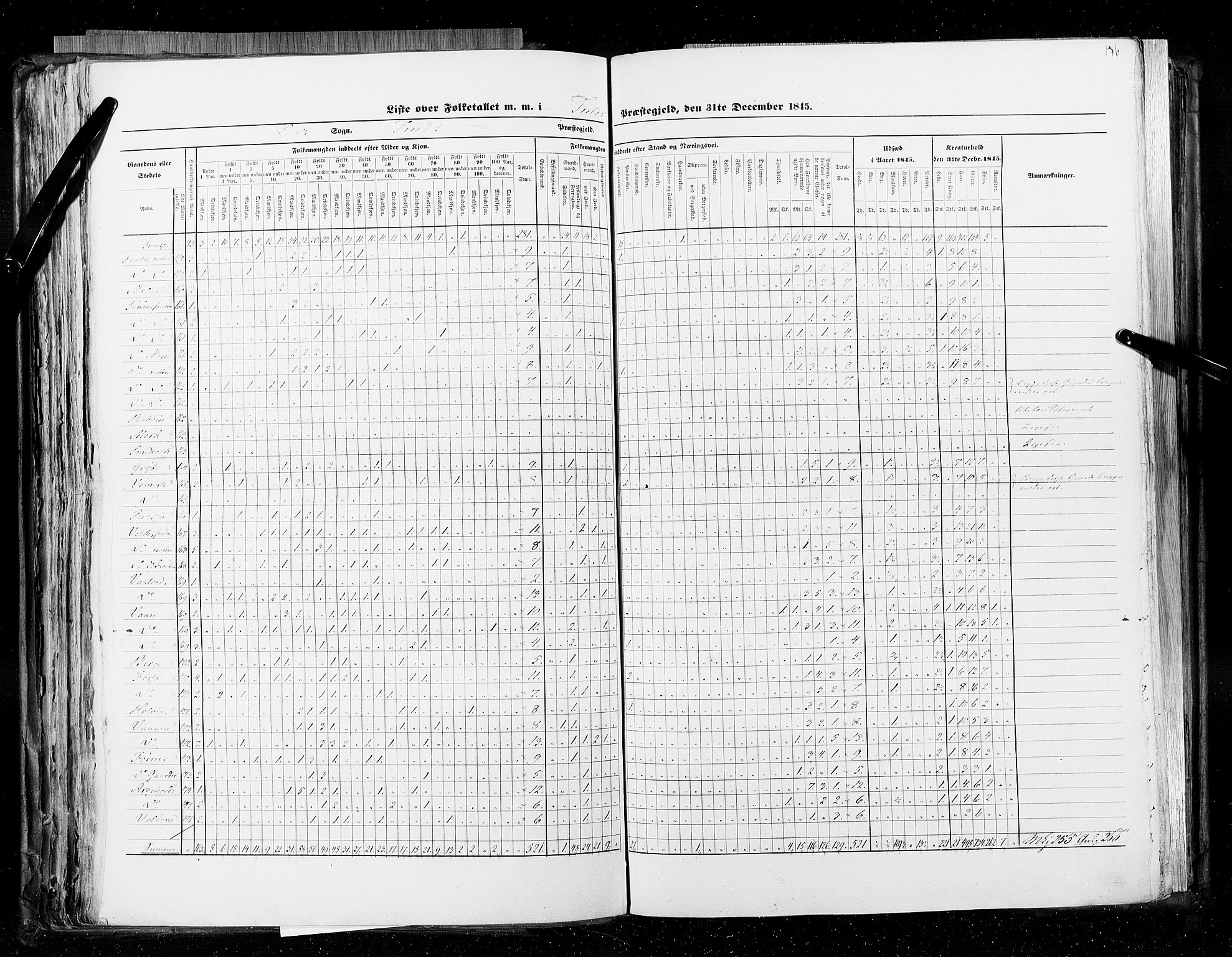 RA, Census 1845, vol. 5: Bratsberg amt og Nedenes og Råbyggelaget amt, 1845, p. 136