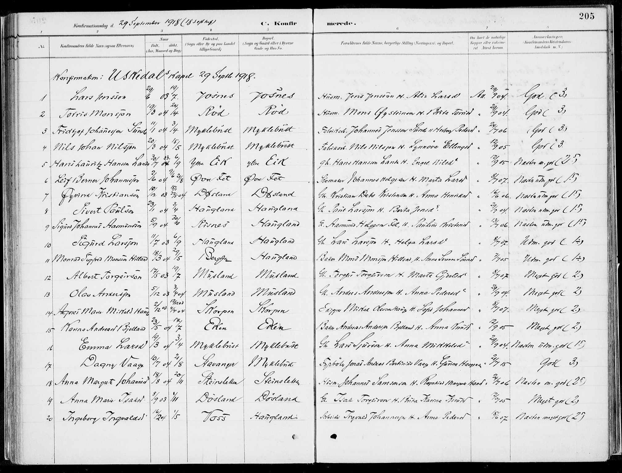 Kvinnherad sokneprestembete, SAB/A-76401/H/Haa: Parish register (official) no. B  1, 1887-1921, p. 205