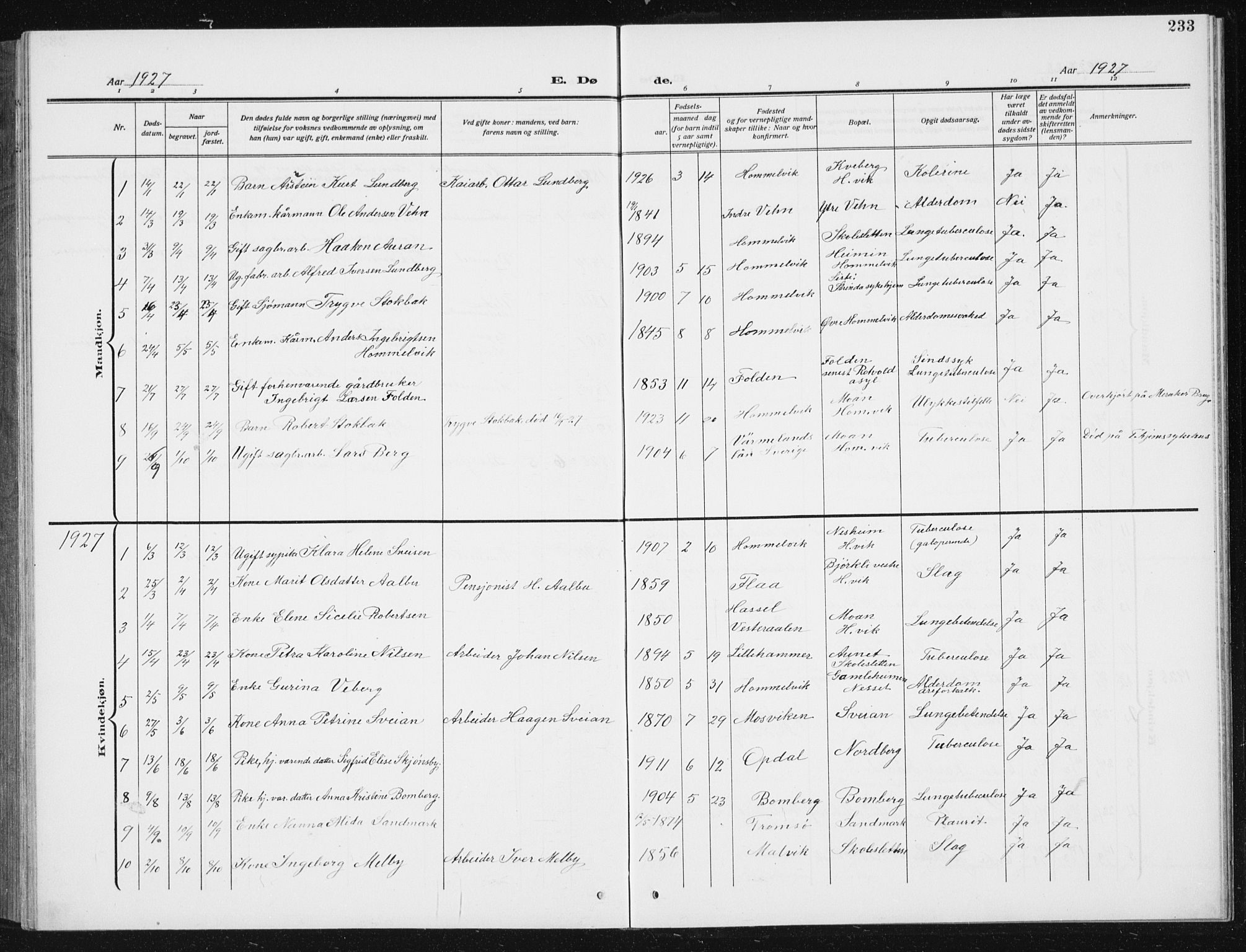 Ministerialprotokoller, klokkerbøker og fødselsregistre - Sør-Trøndelag, SAT/A-1456/617/L0431: Parish register (copy) no. 617C02, 1910-1936, p. 233