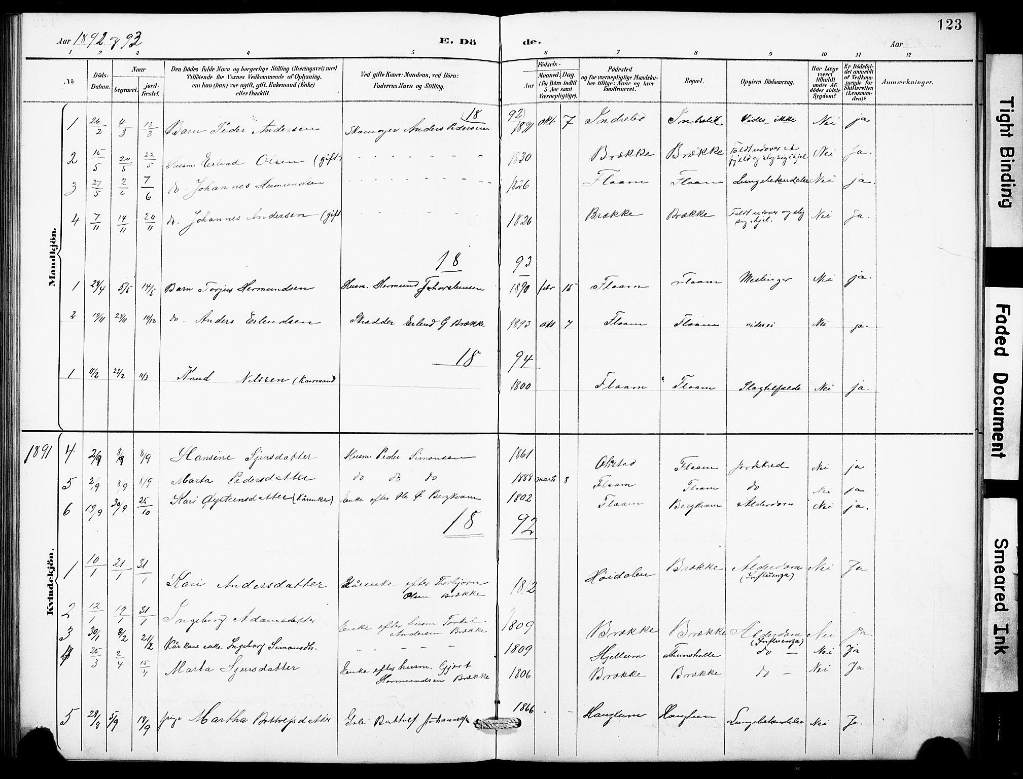 Aurland sokneprestembete, SAB/A-99937/H/Hb/Hbb/L0002: Parish register (copy) no. B 2, 1887-1929, p. 123